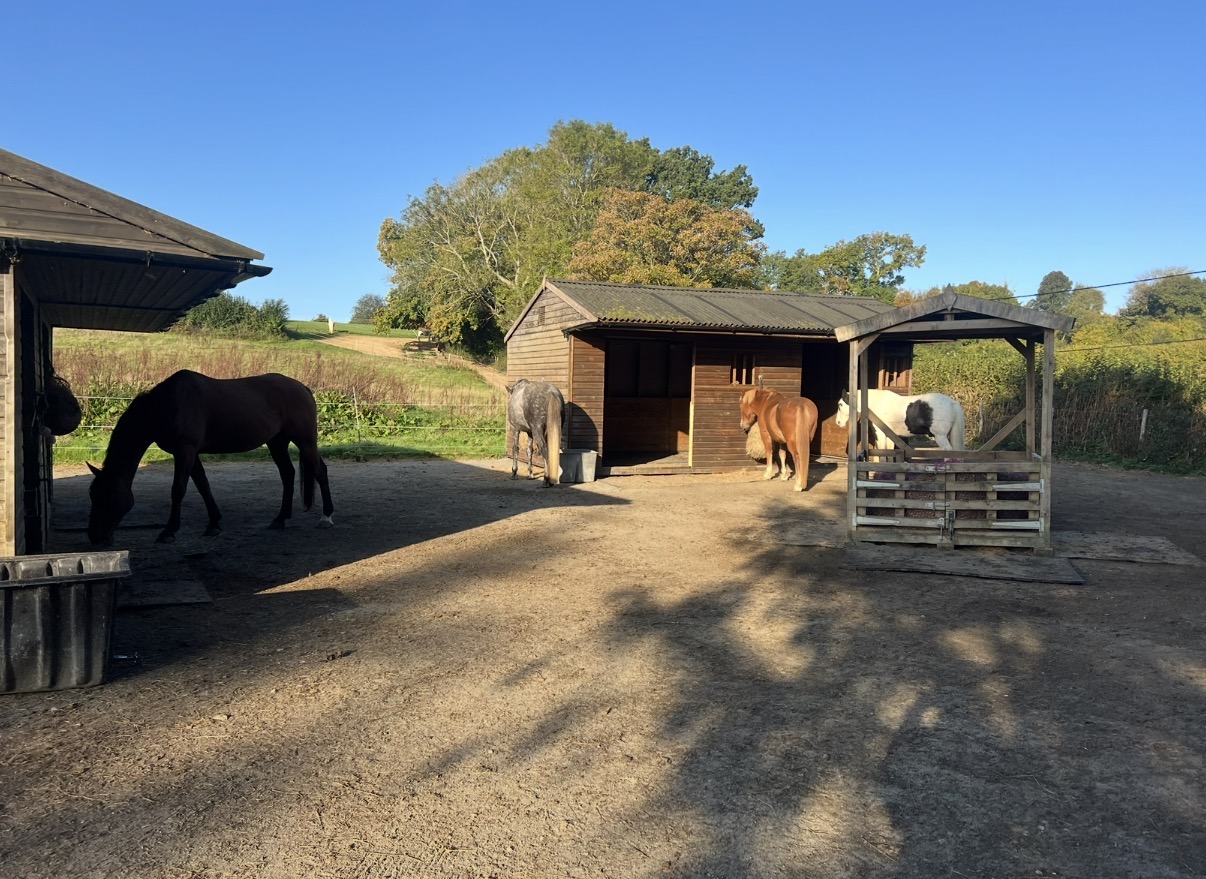 Spilsted equestrian photo 2