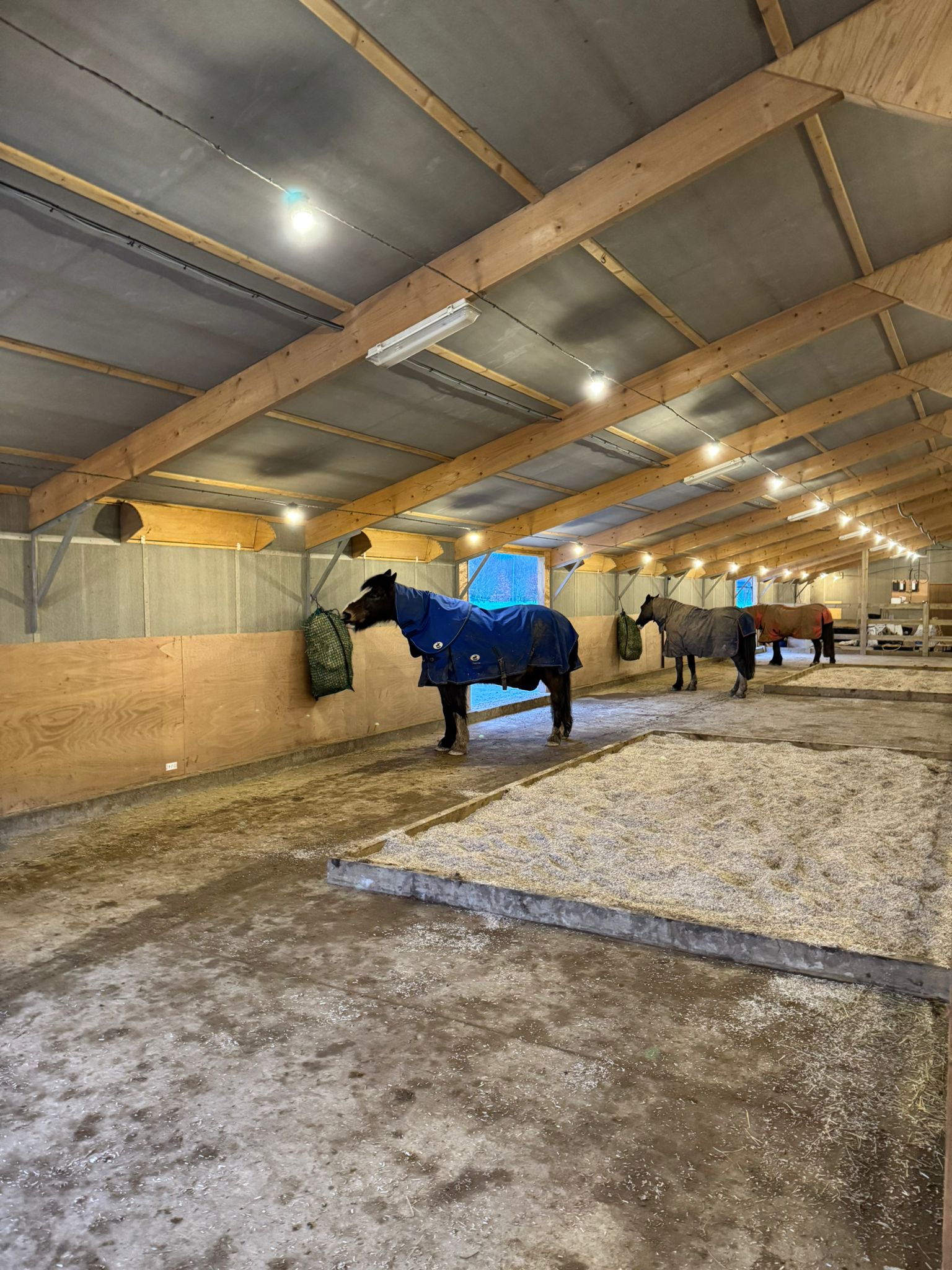 Poolbrooke Equestrian Track Livery