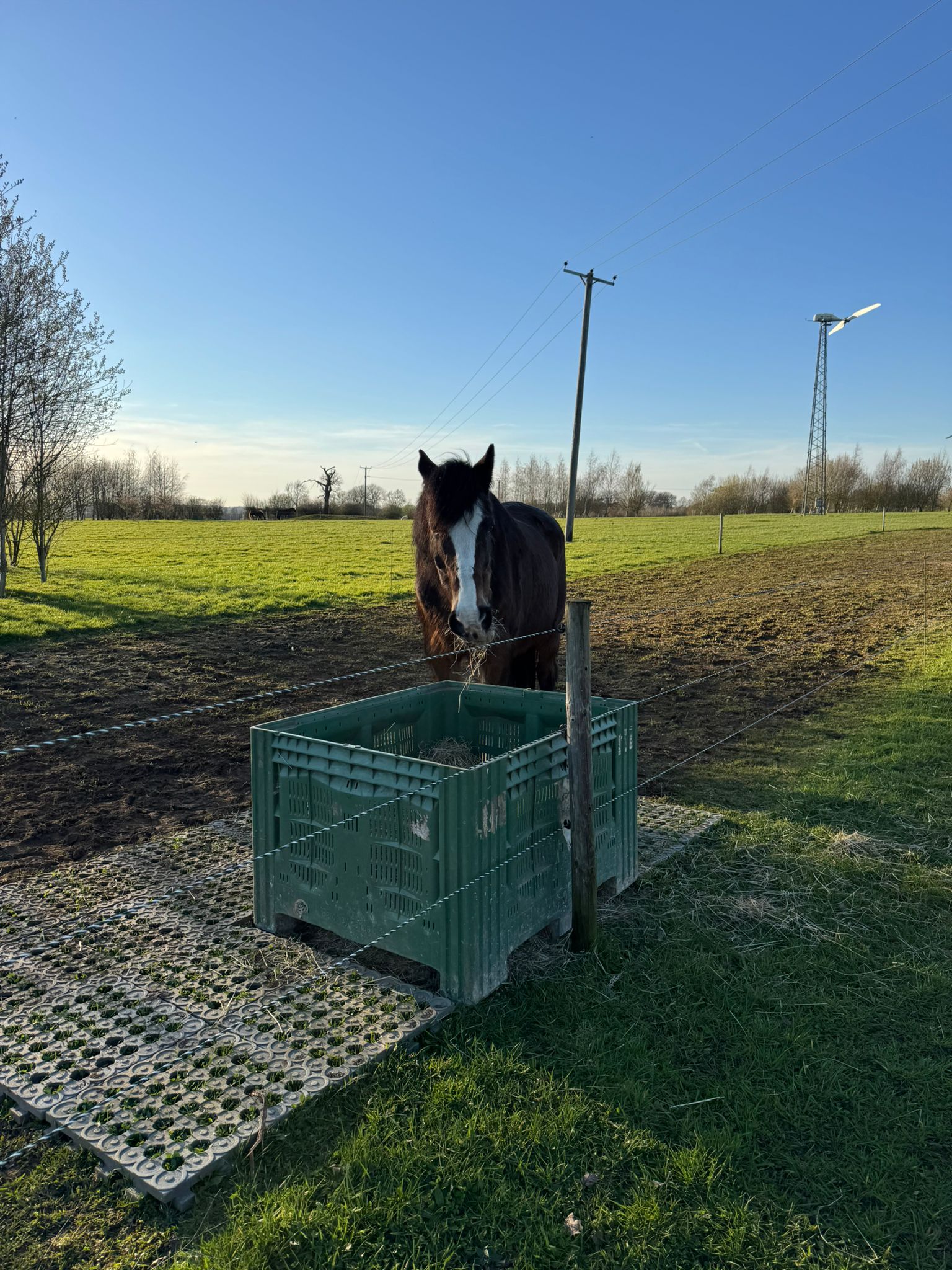 Poolbrooke Equestrian Track Livery photo 2