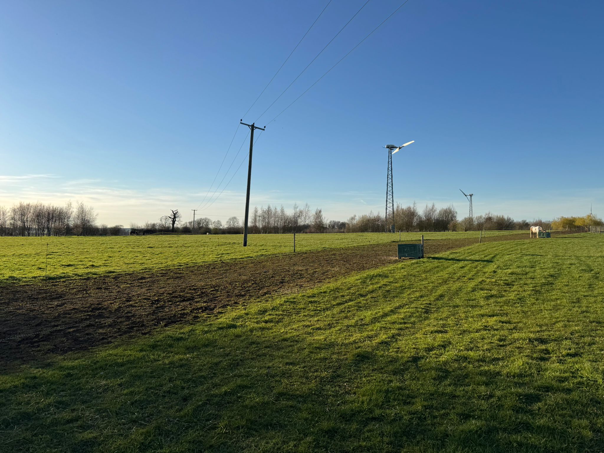 Poolbrooke Equestrian Track Livery photo 3