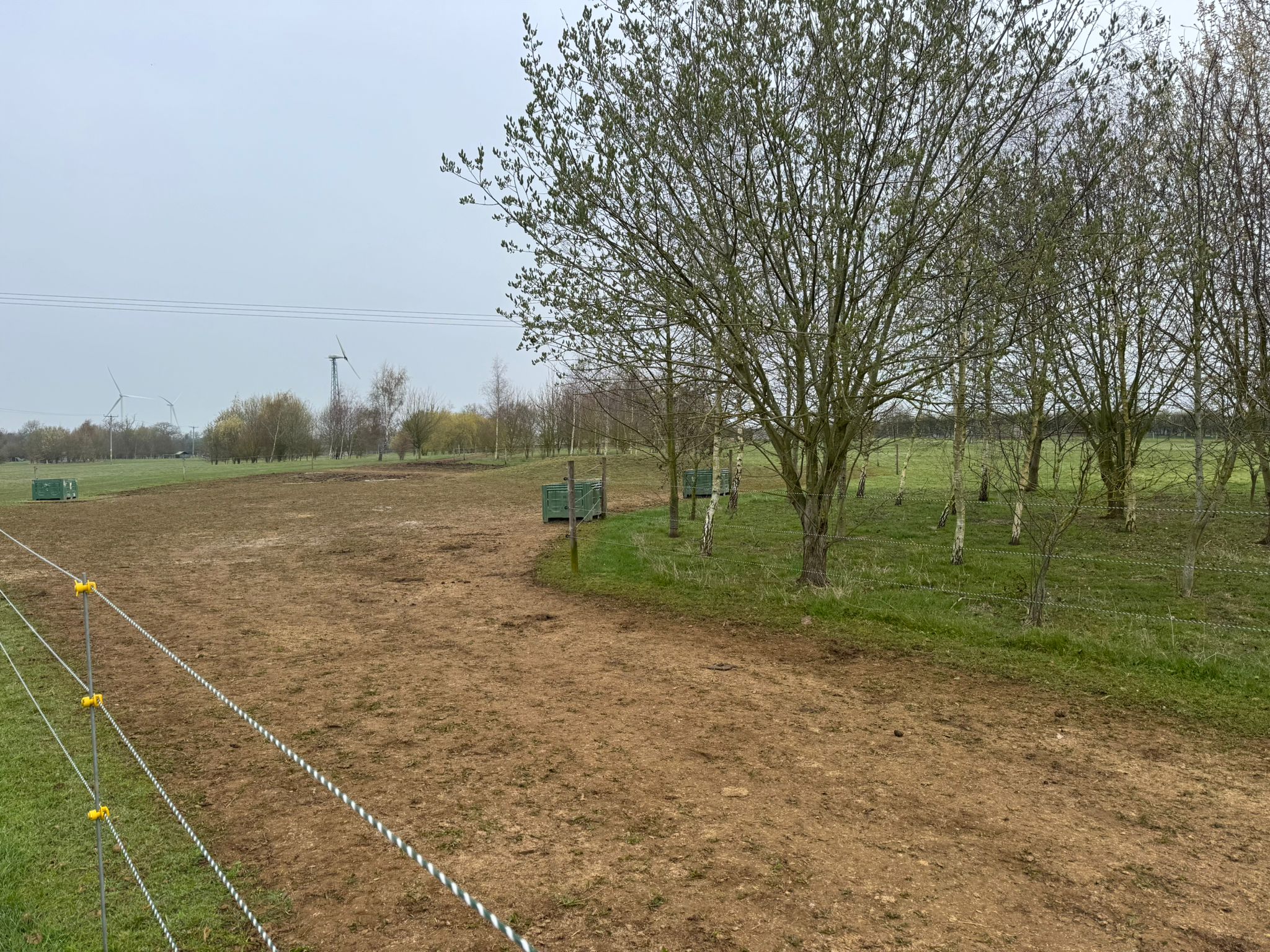 Poolbrooke Equestrian Track Livery photo 4