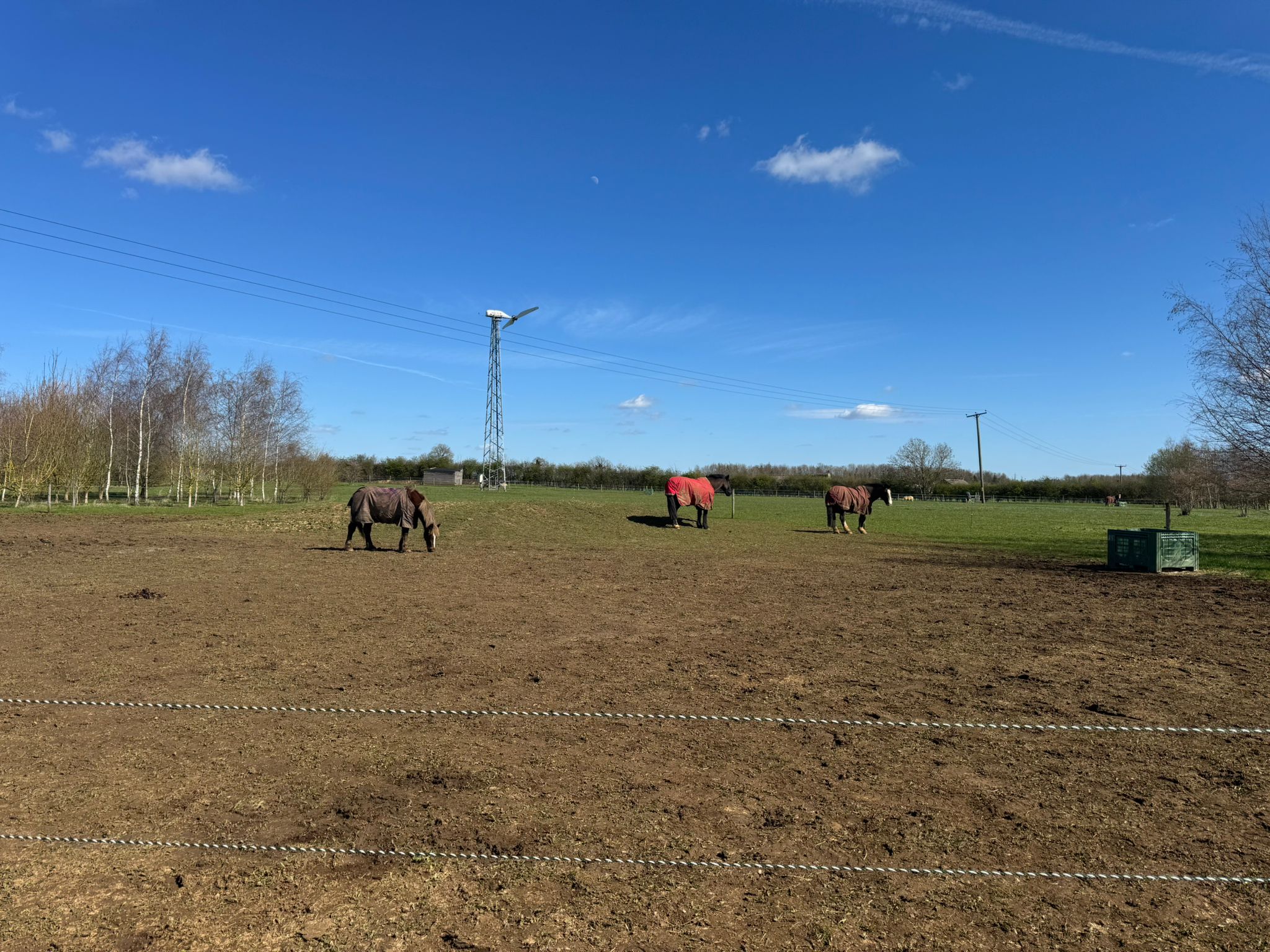 Poolbrooke Equestrian Track Livery photo 5