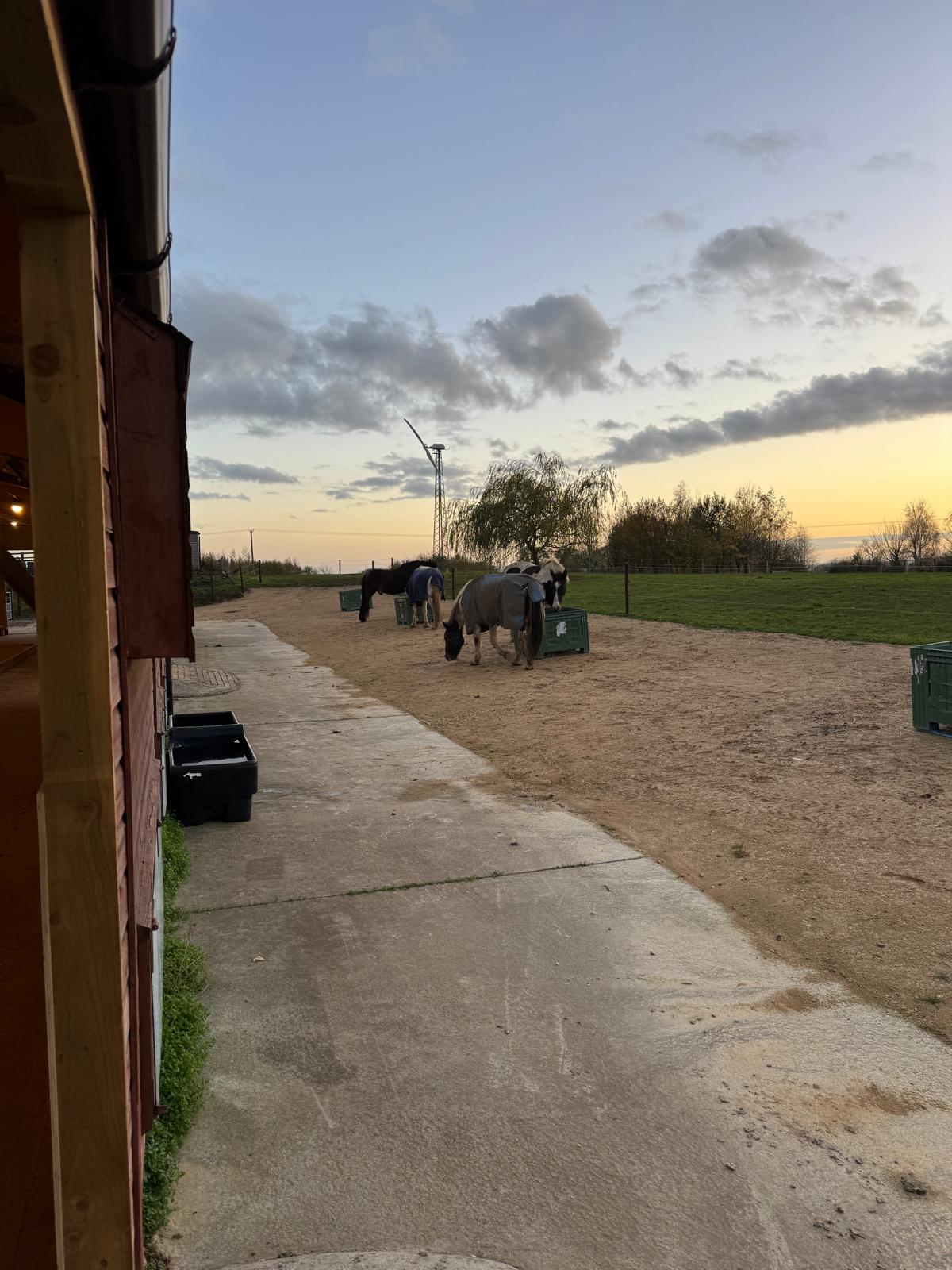 Poolbrooke Equestrian Track Livery photo 6