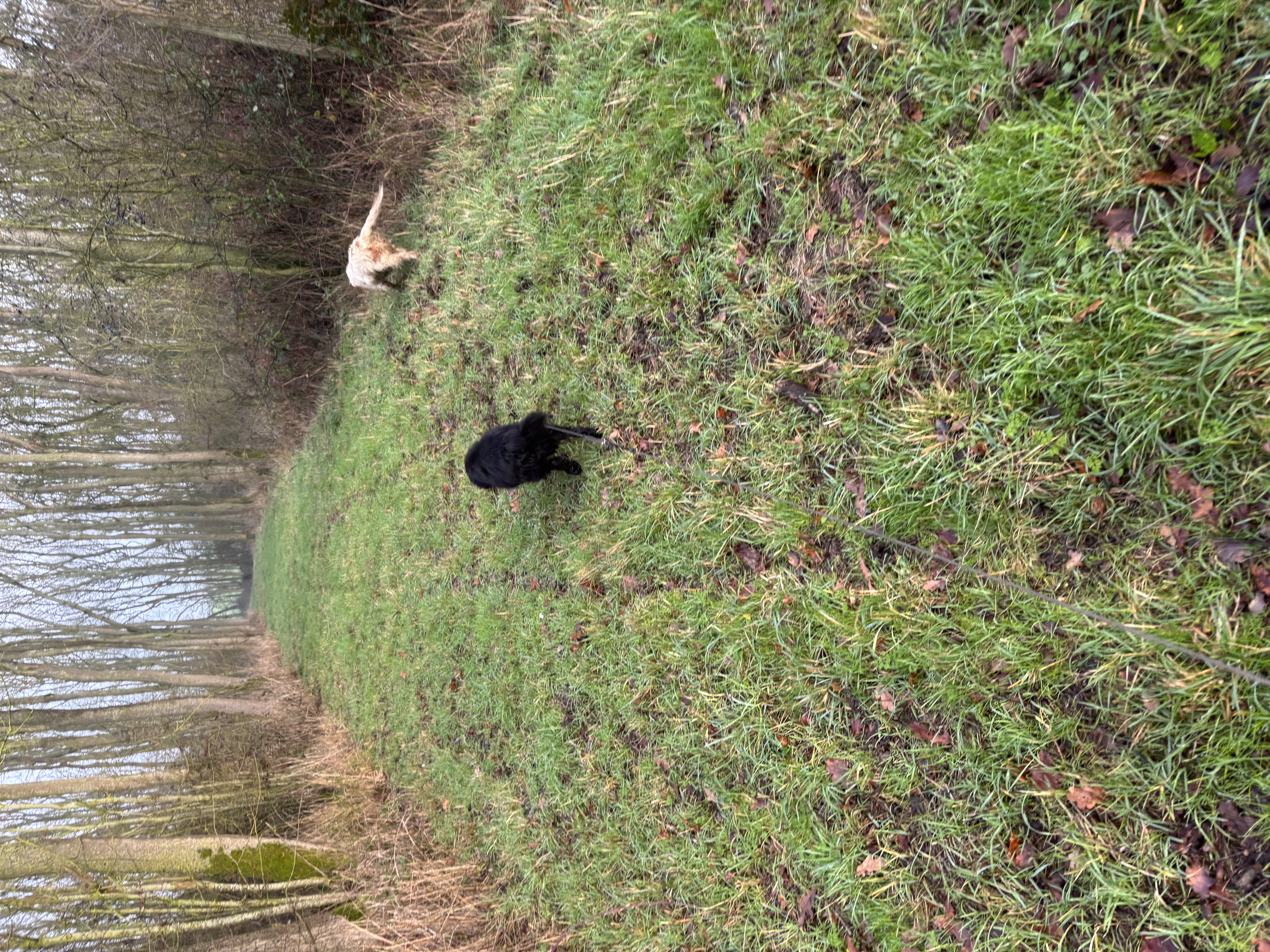 Barnwell Wold Livery Yard