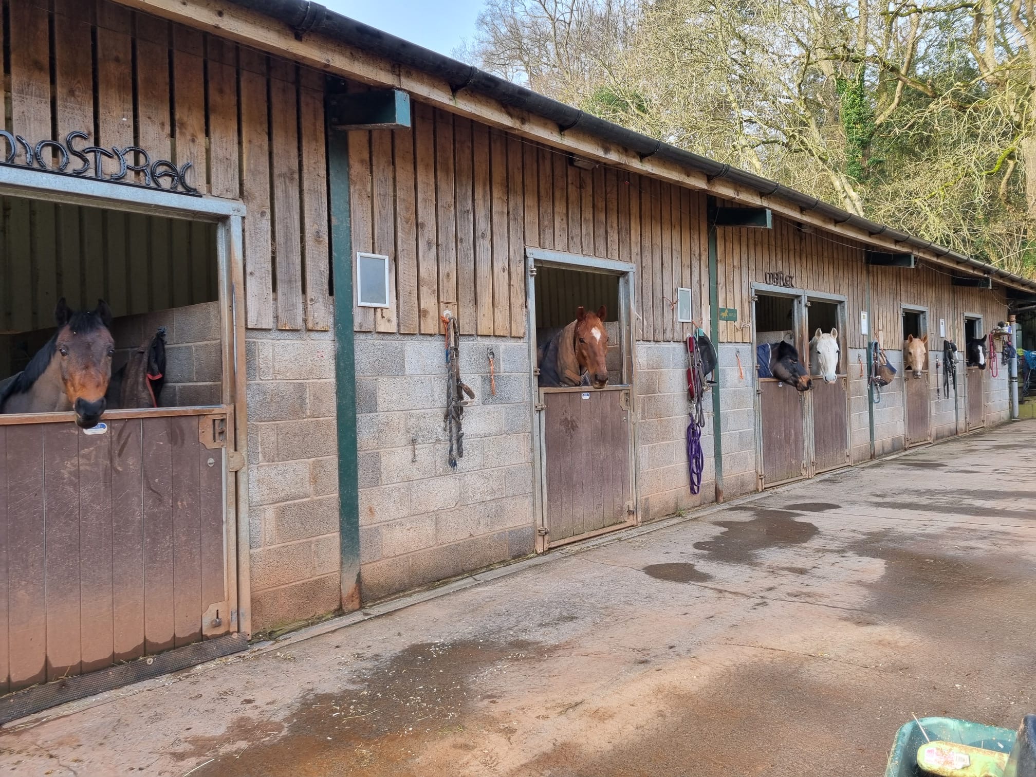 Montreux Farm Livery Stables
