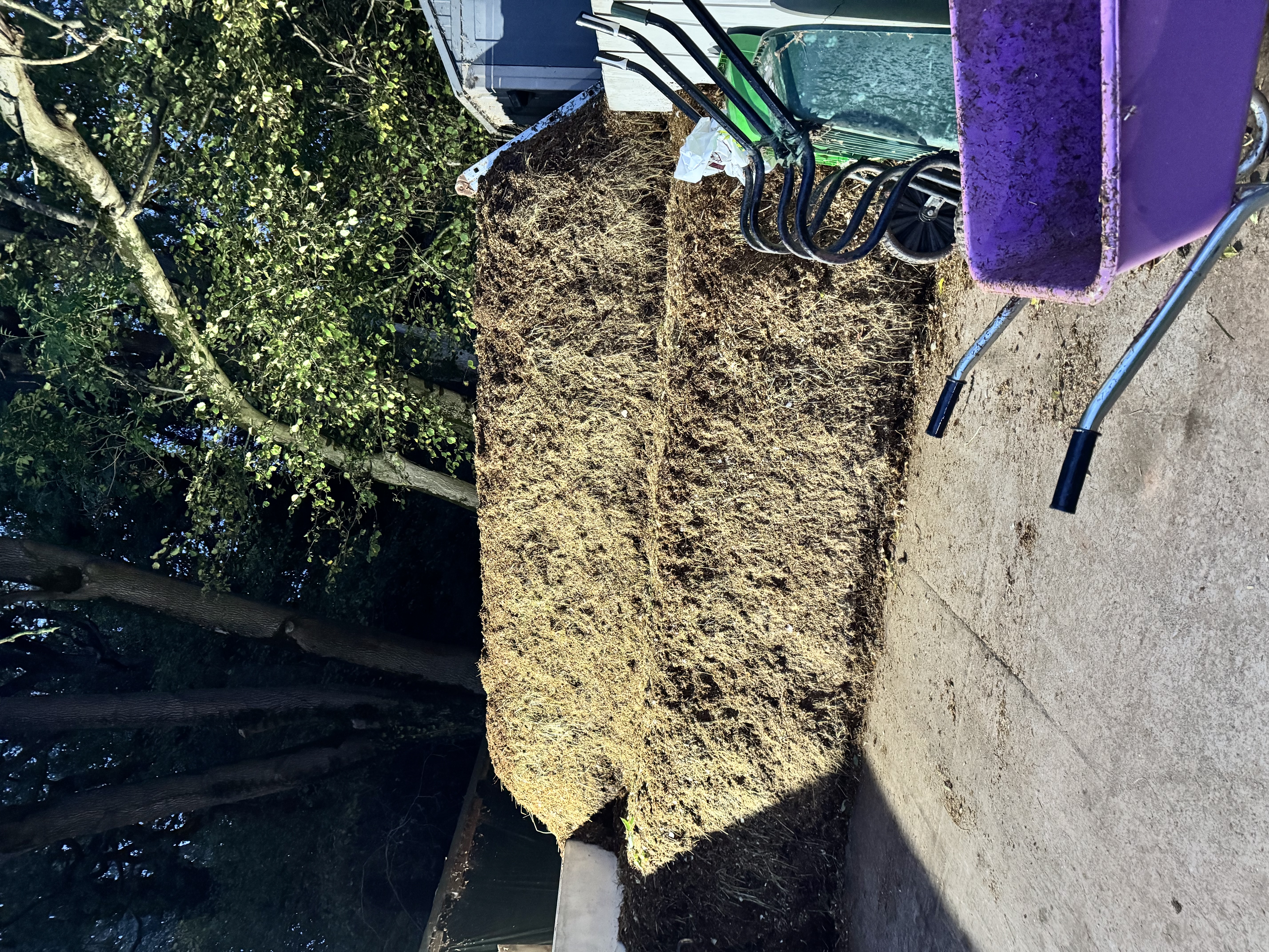 Montreux Farm Livery Stables photo 3