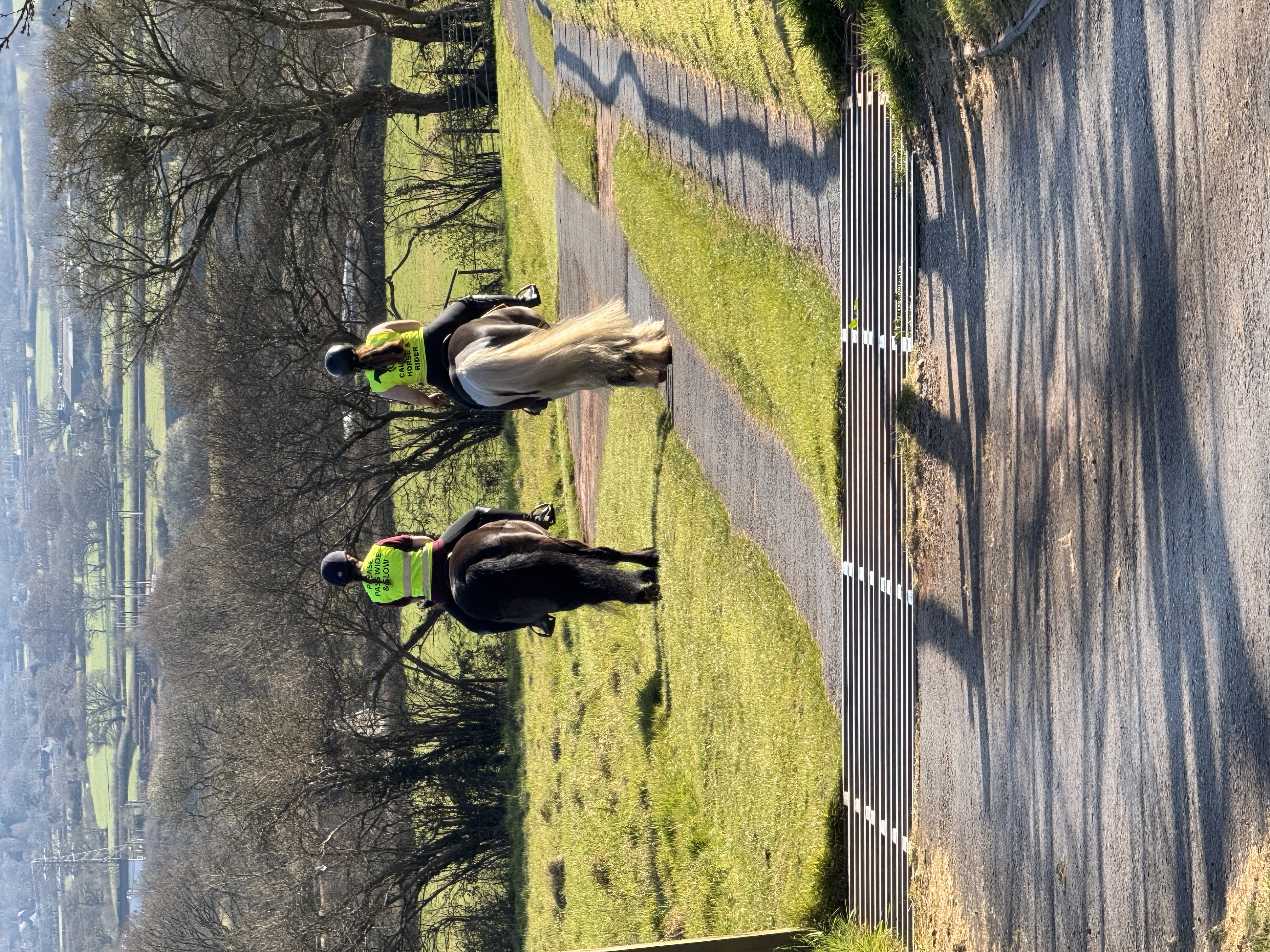 Montreux Farm Livery Stables photo 5