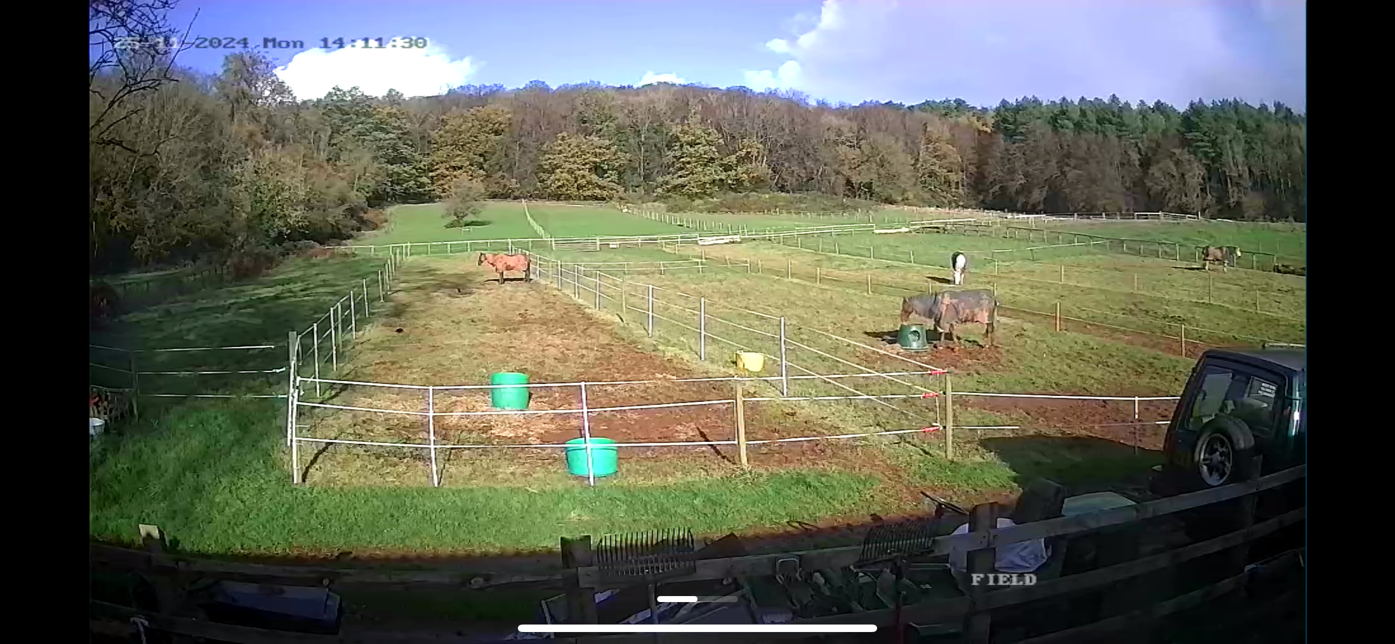 Montreux Farm Livery Stables photo 9