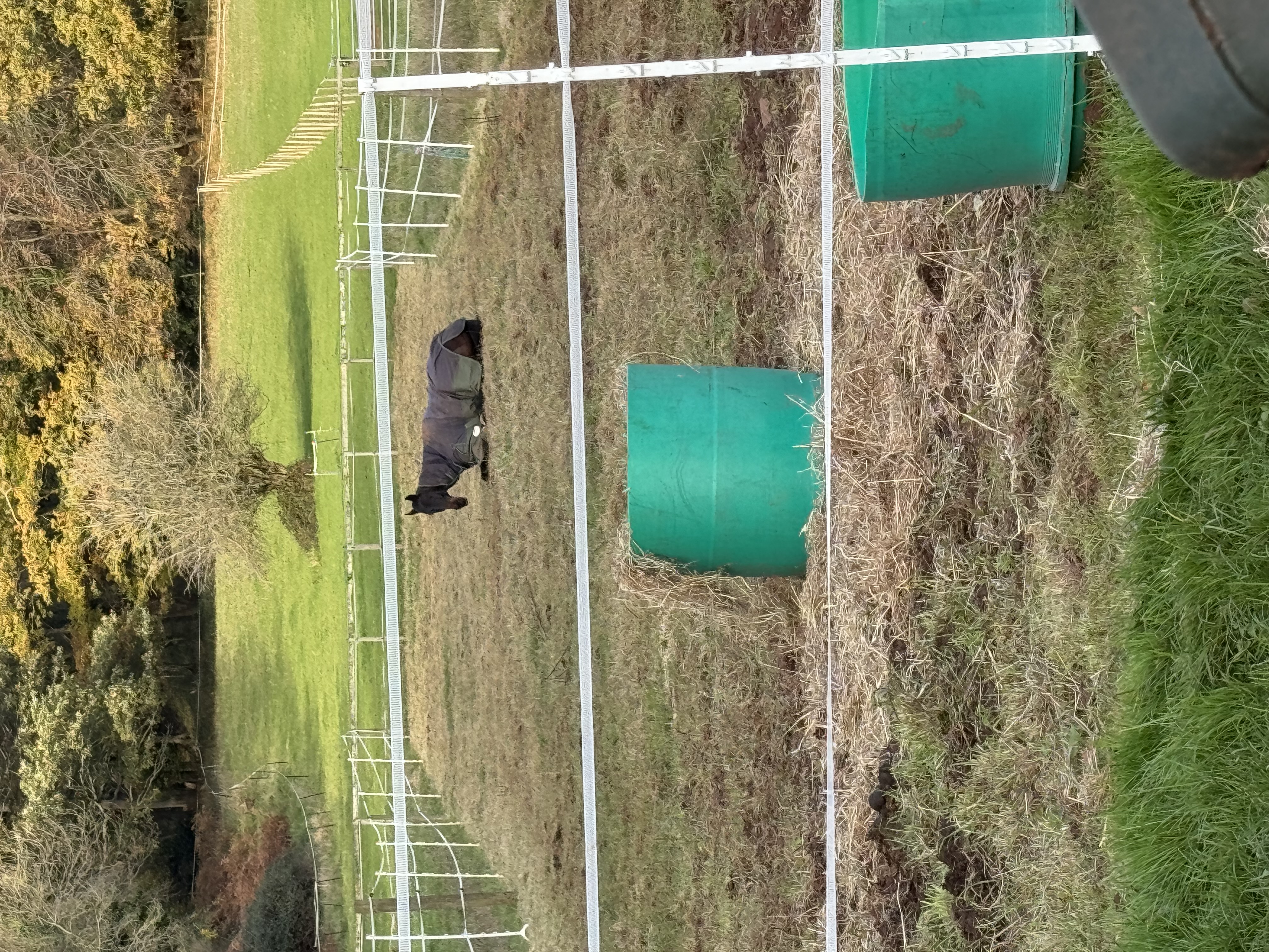 Montreux Farm Livery Stables photo 10