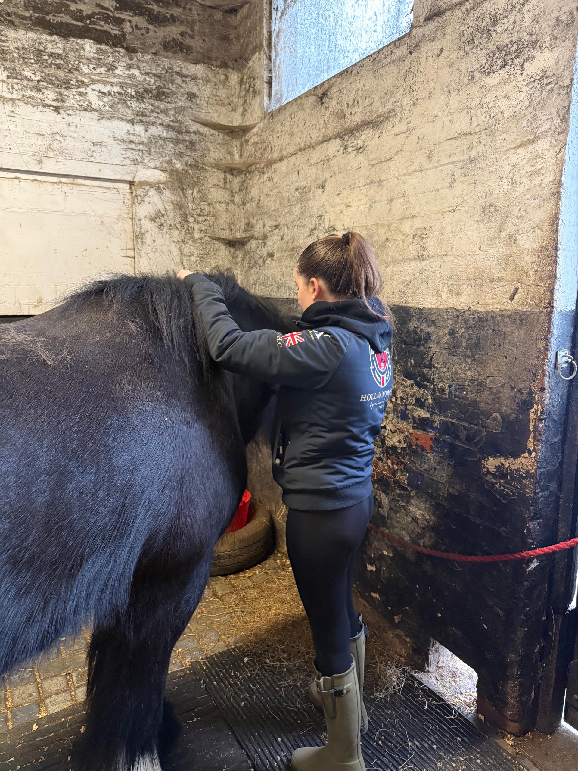 r.m equine massage photo 2