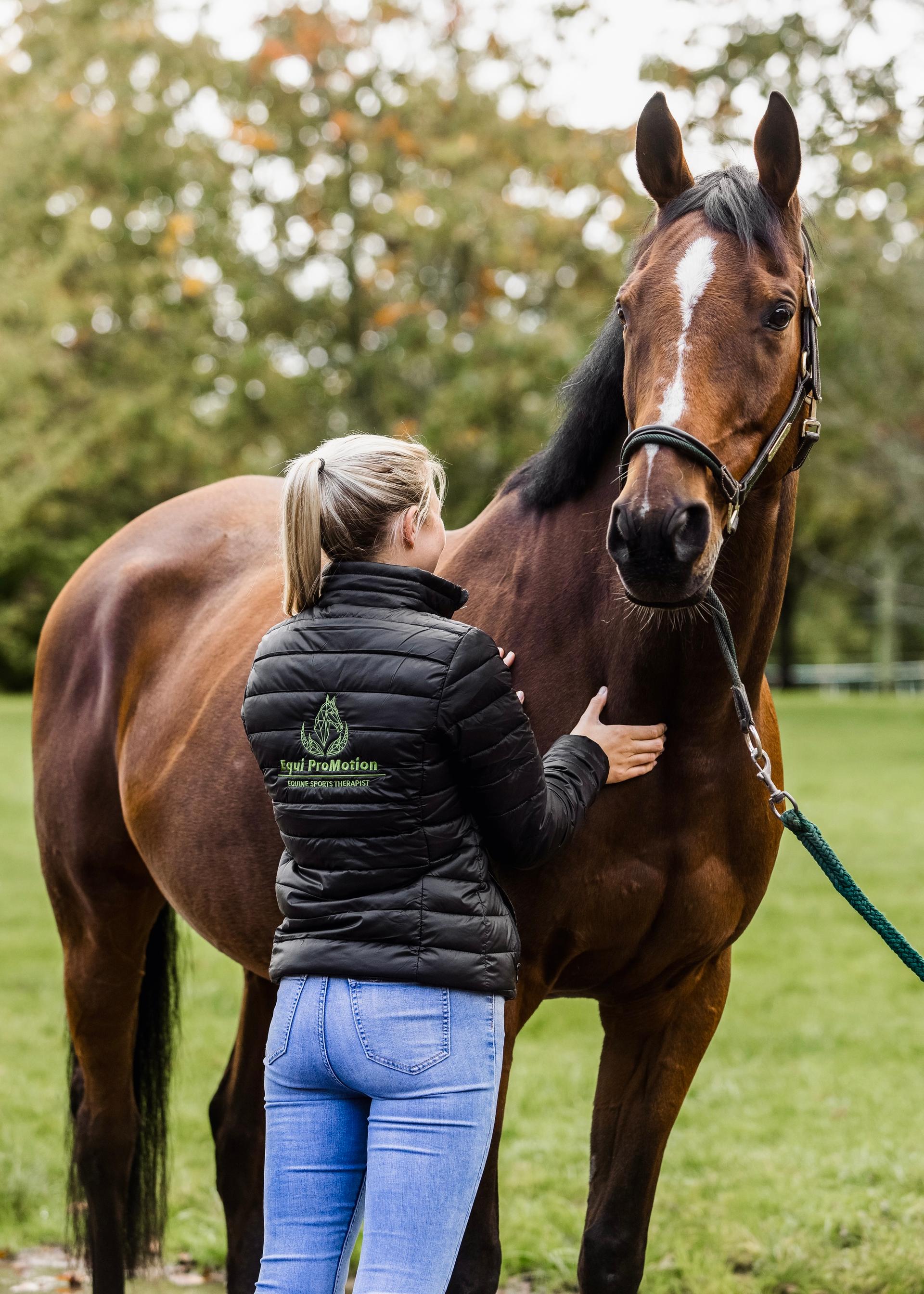 Equi ProMotion photo 3