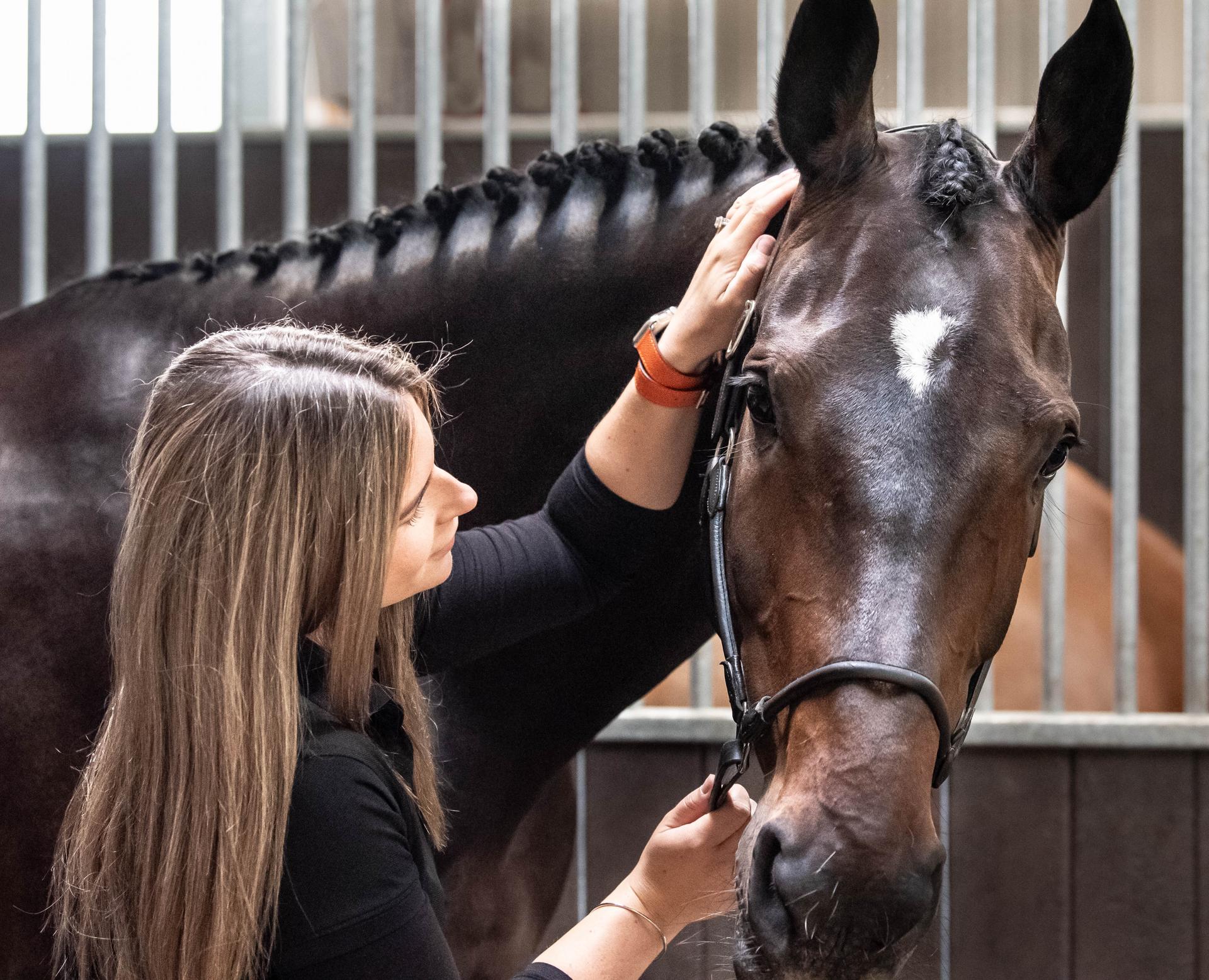 Sarah Morris - Equivalence Ltd - Equine Manual Therapy UK photo 2