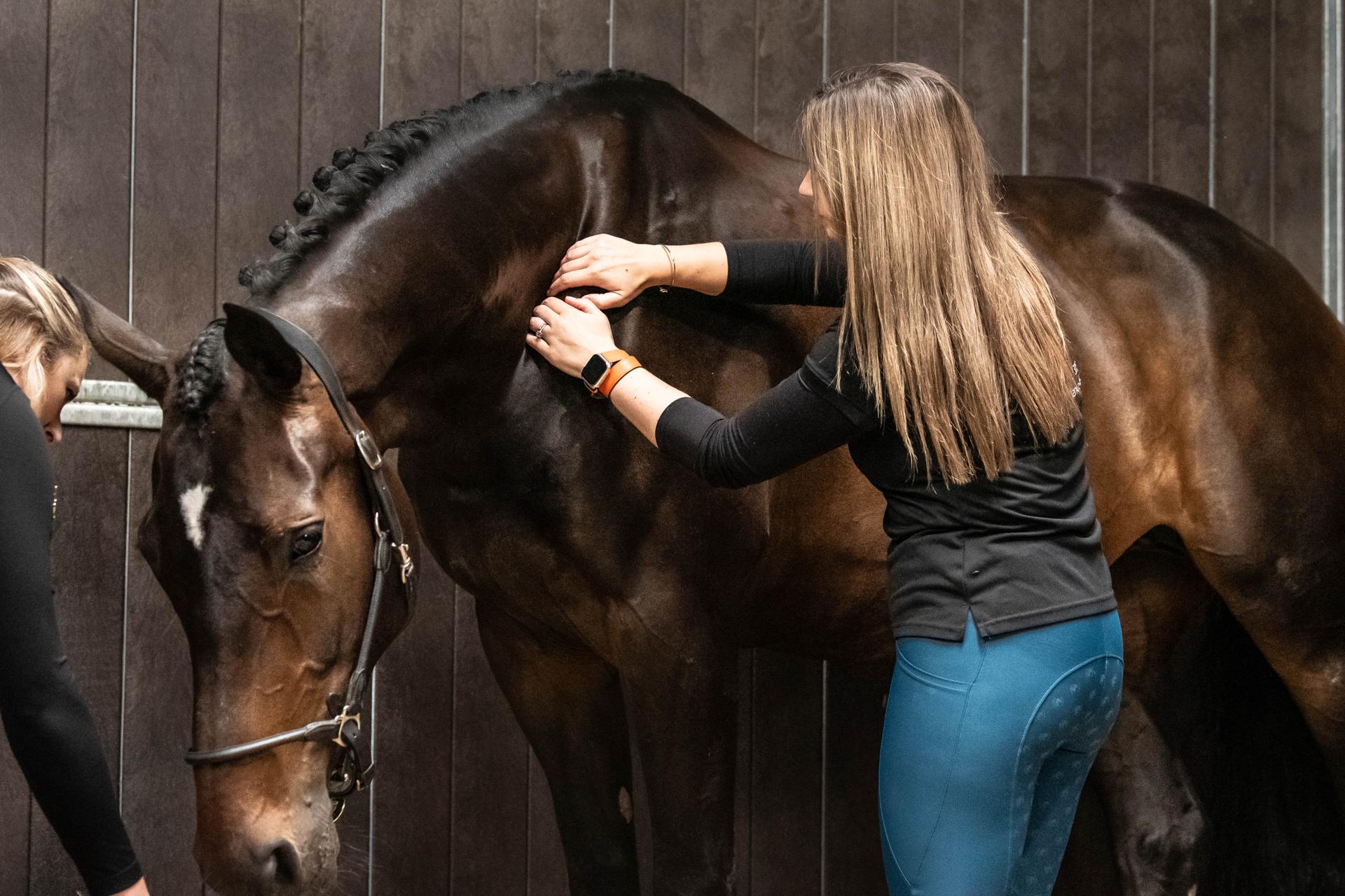 Sarah Morris - Equivalence Ltd - Equine Manual Therapy UK photo 3