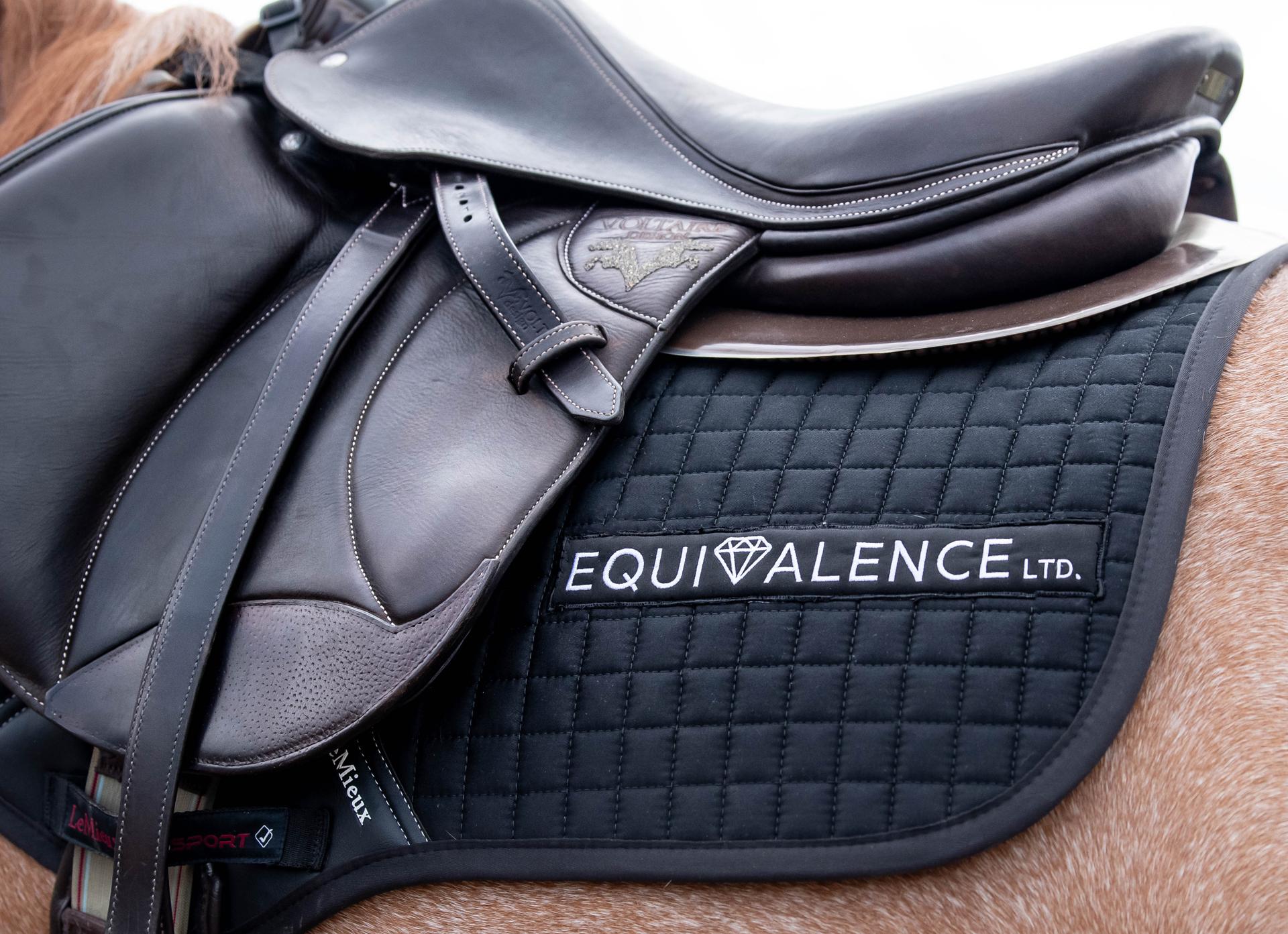 Sarah Morris - Equivalence Ltd - Equine Manual Therapy UK photo 5