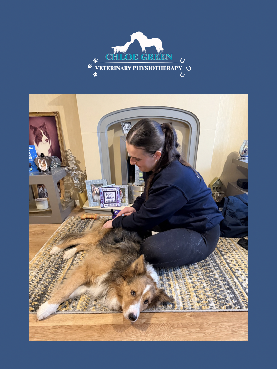 Chloe Green Vet Physio photo 3