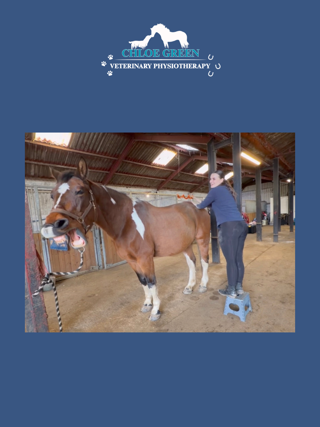 Chloe Green Vet Physio photo 4