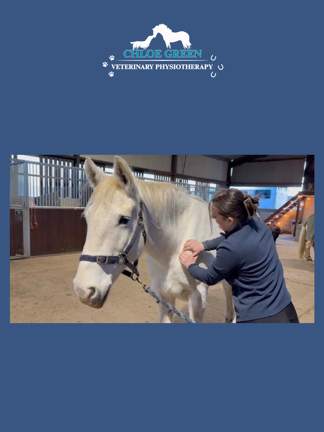 Chloe Green Vet Physio photo 5