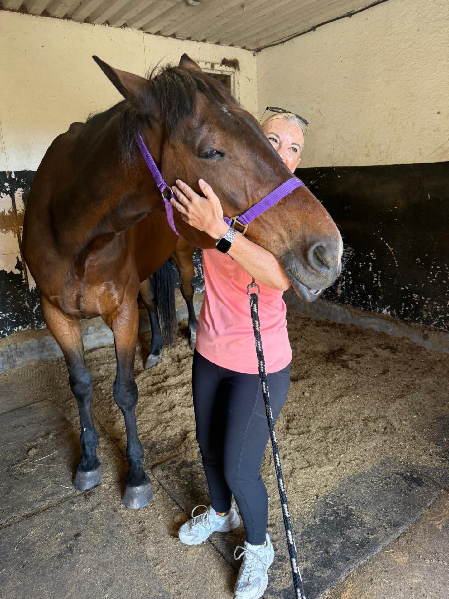 Nurova Equine photo 2