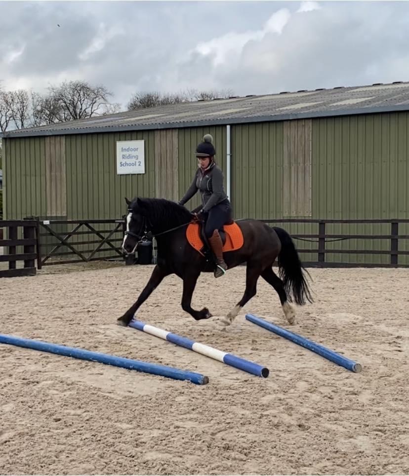 CH Equestrian photo 3