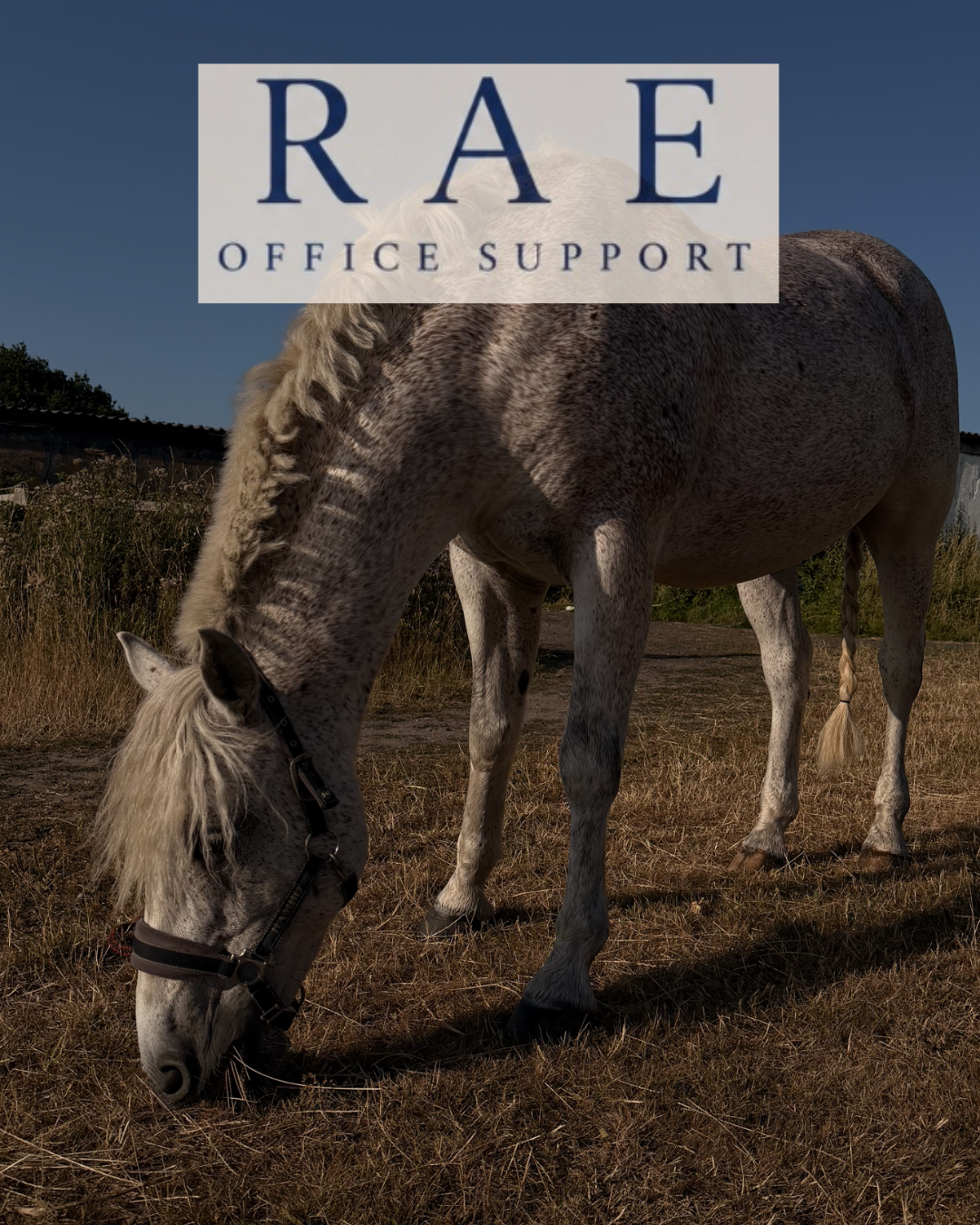 Rae Office Support photo 3