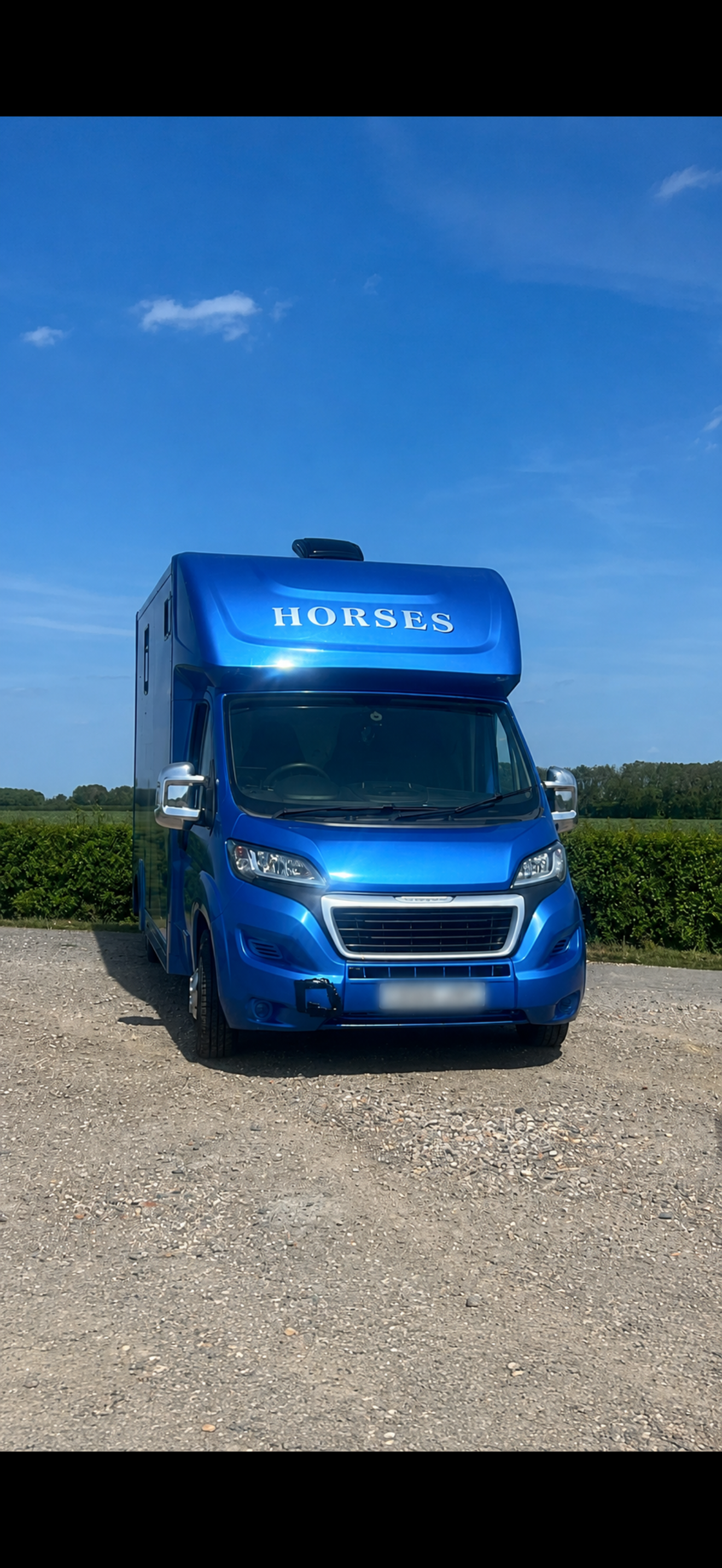 Tailored Equine Transport & Services photo 1