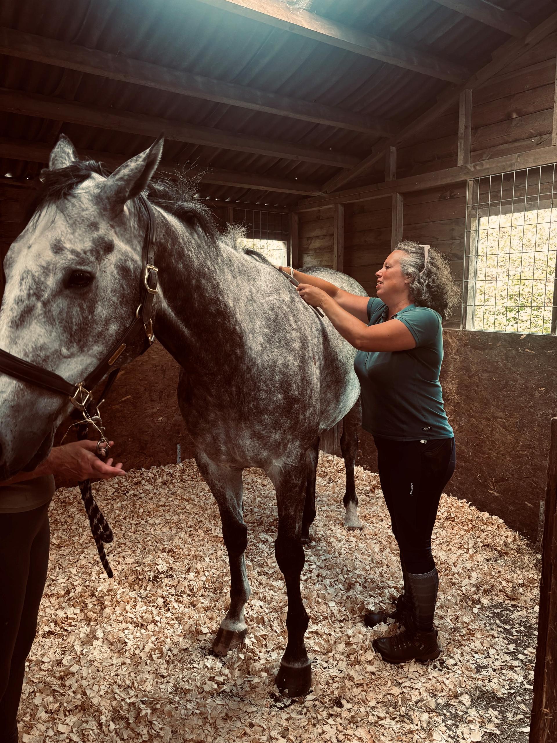 Sam Lander Saddles photo 2