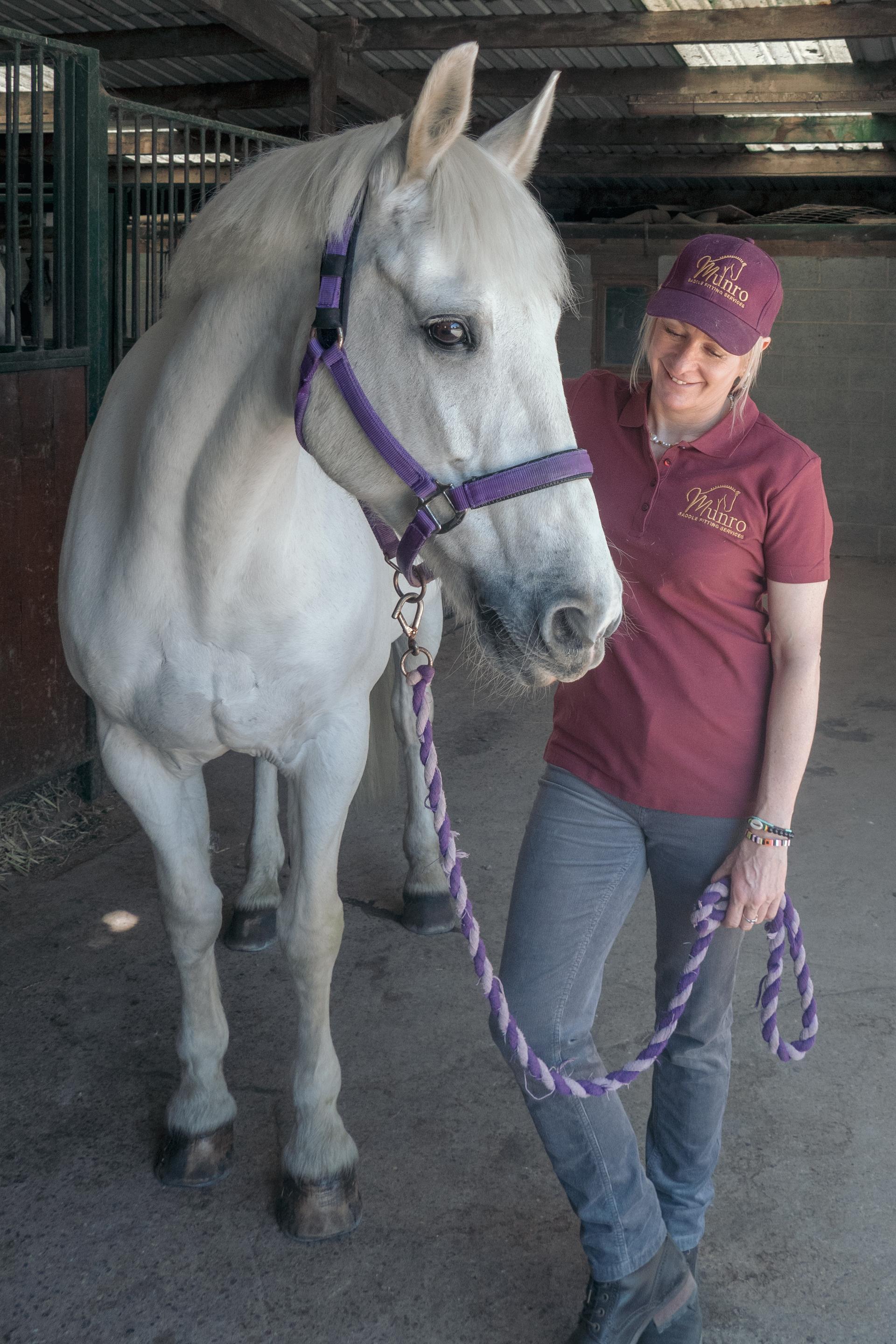 Munro Saddle Fitting Services photo 2