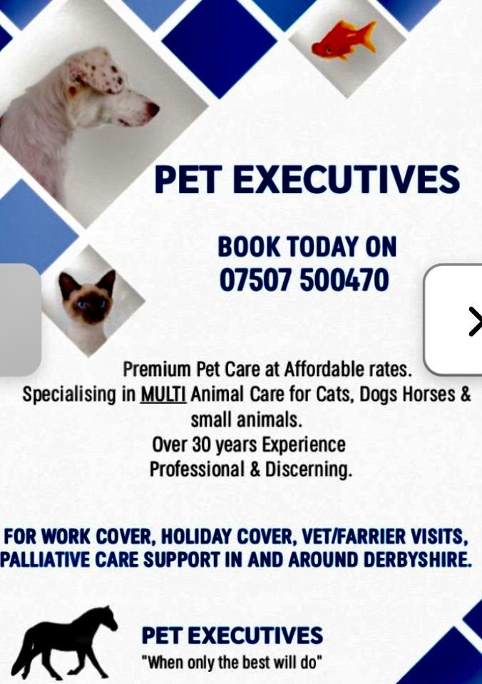Pet Executives photo 1