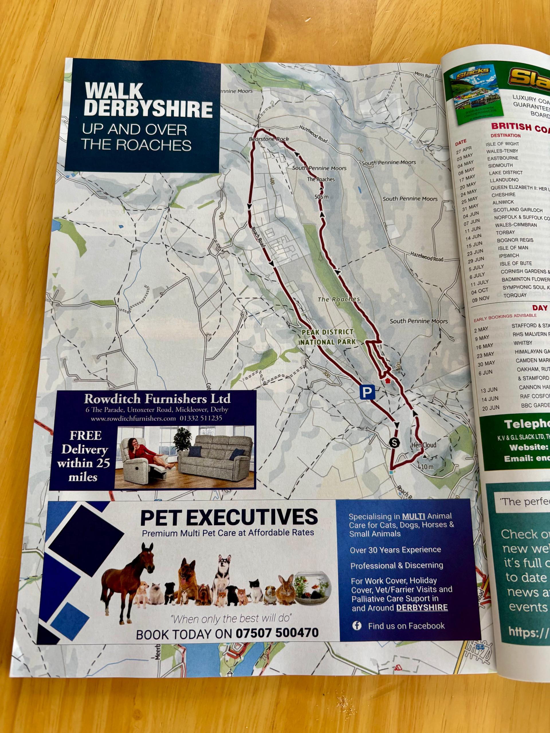 Pet Executives photo 4