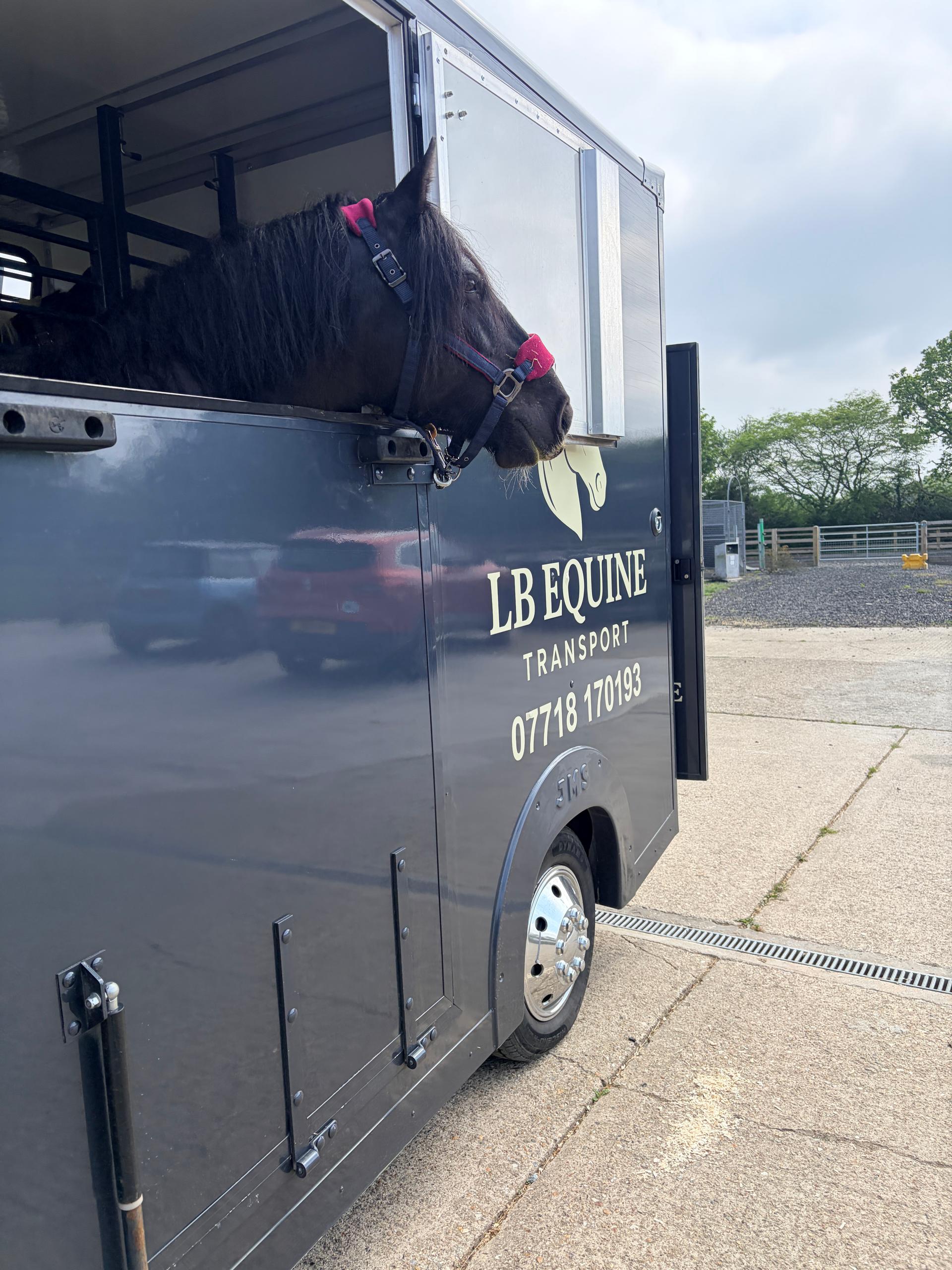 LB Equine Transport photo 3