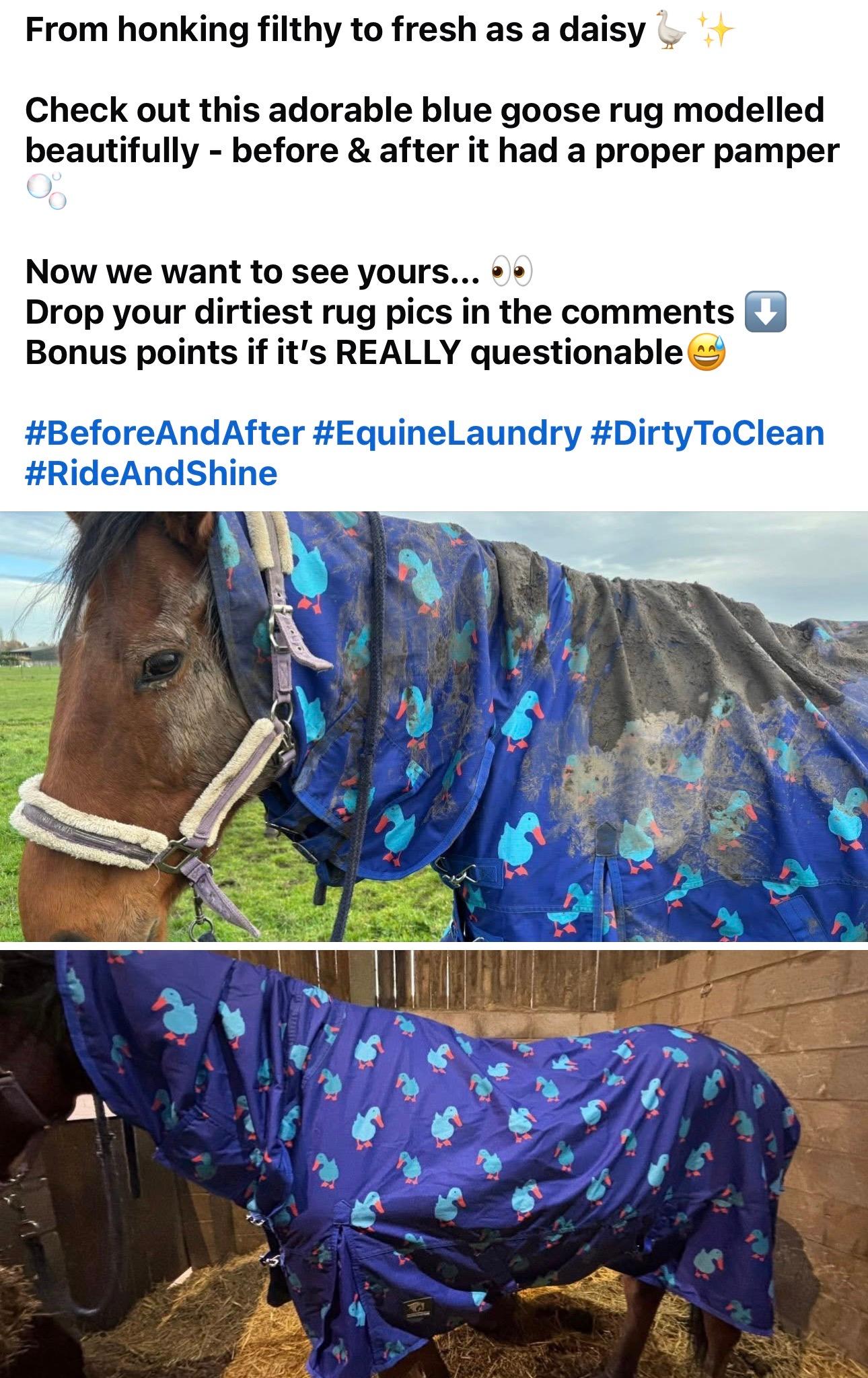Ride & Shine Equine Laundry photo 2