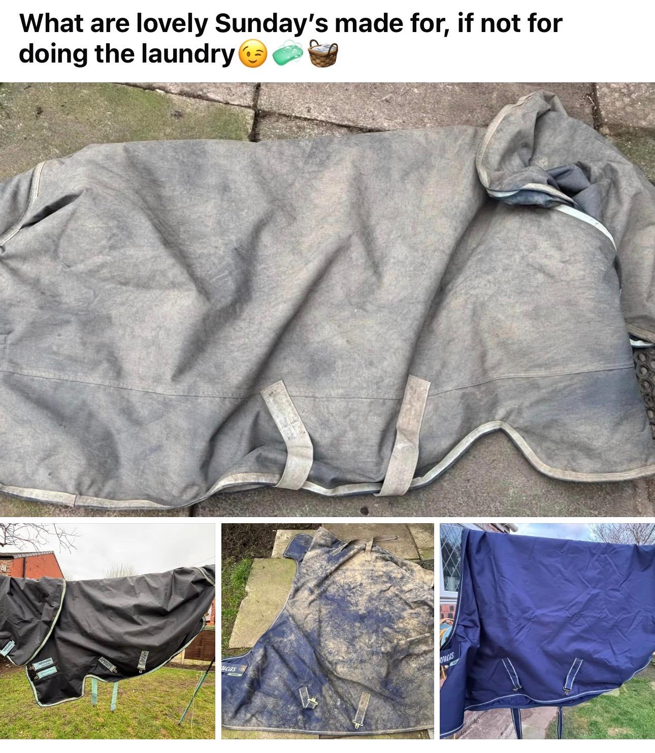 Ride & Shine Equine Laundry photo 3