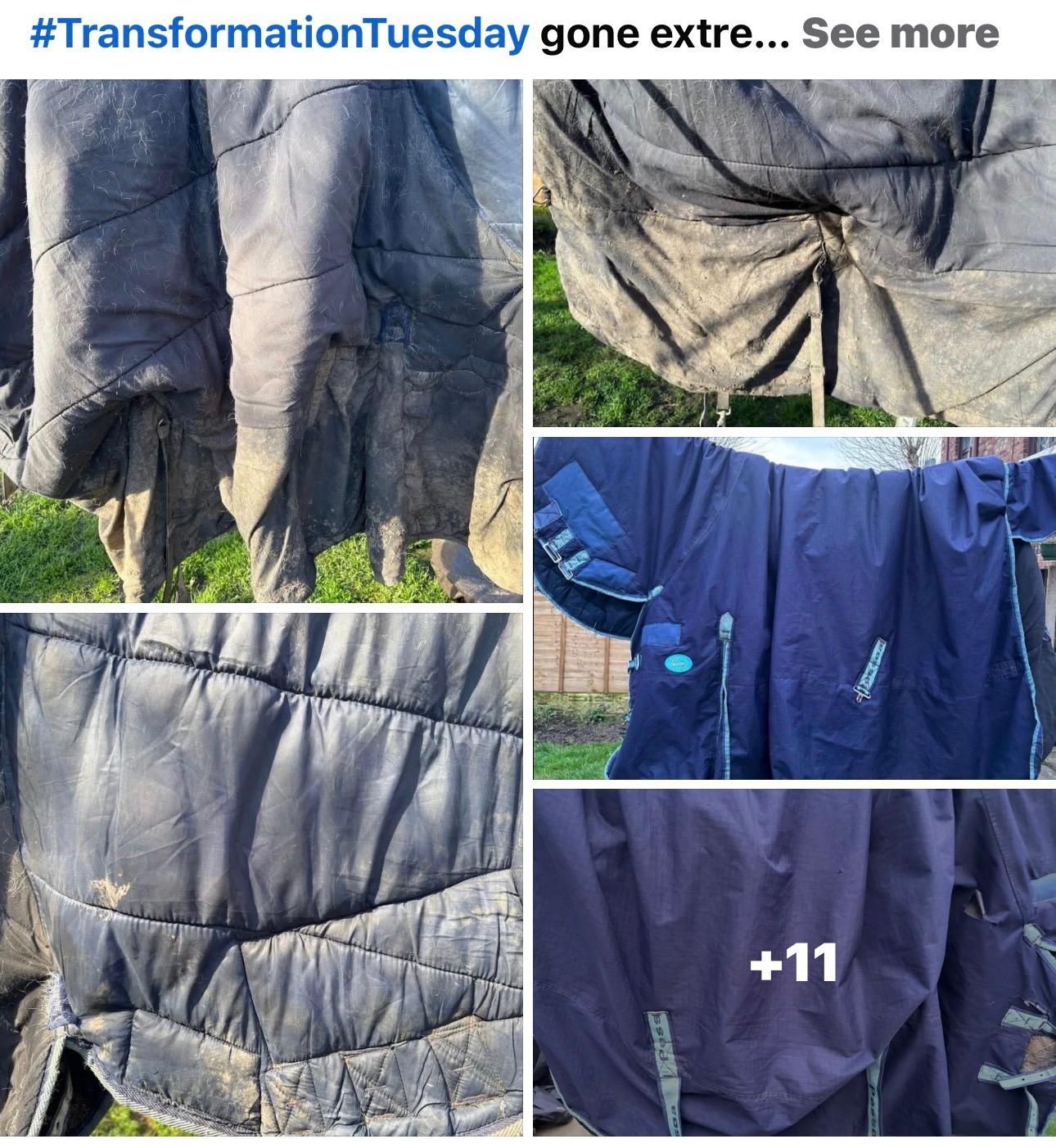 Ride & Shine Equine Laundry photo 4