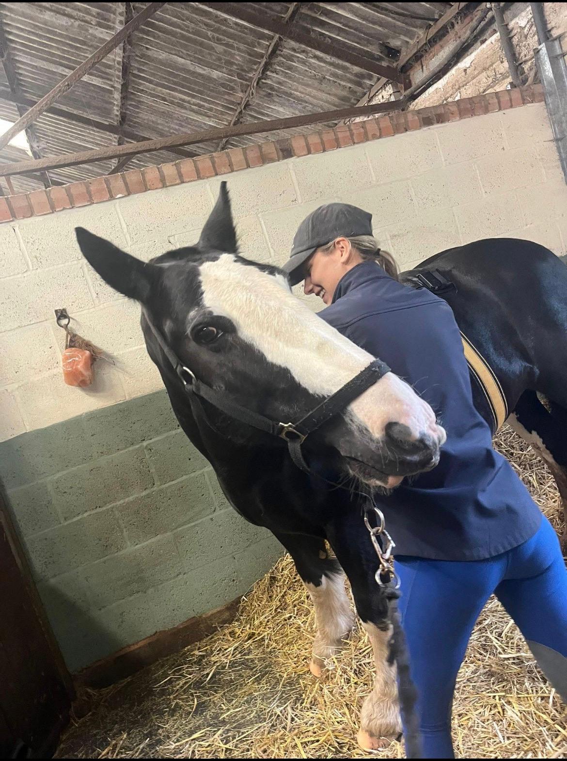 Vitalise Veterinary Physiotherapy photo 3
