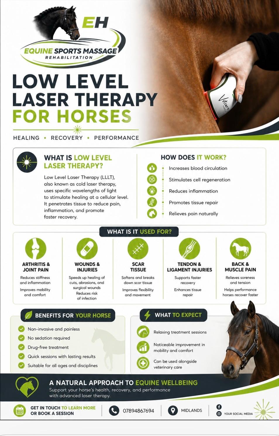Equine sports massage therapist ESMT photo 2
