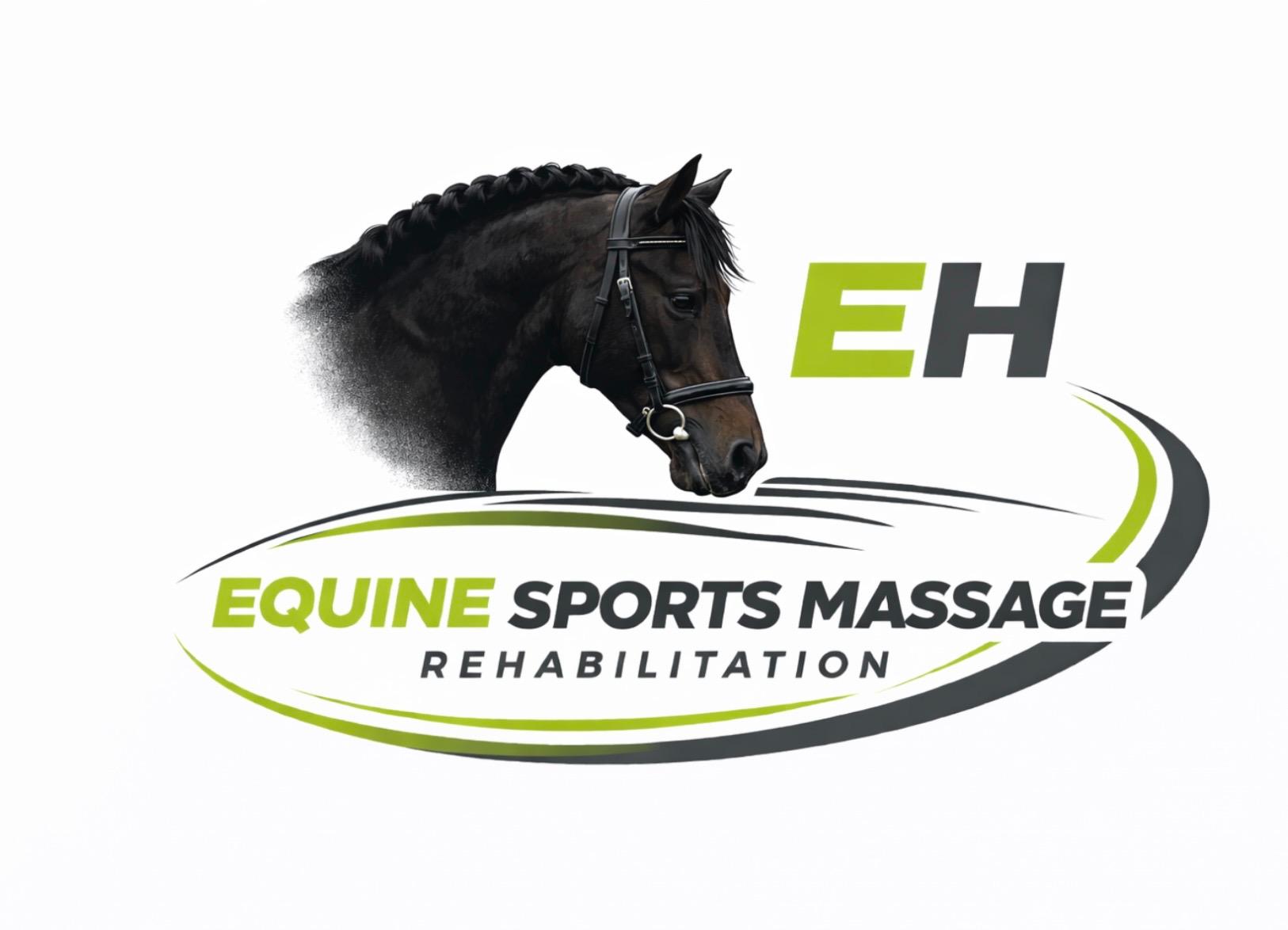 Equine sports massage therapist ESMT photo 3