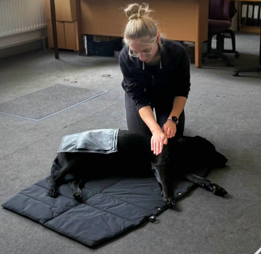 Halle Mackman Veterinary Physiotherapy photo 4