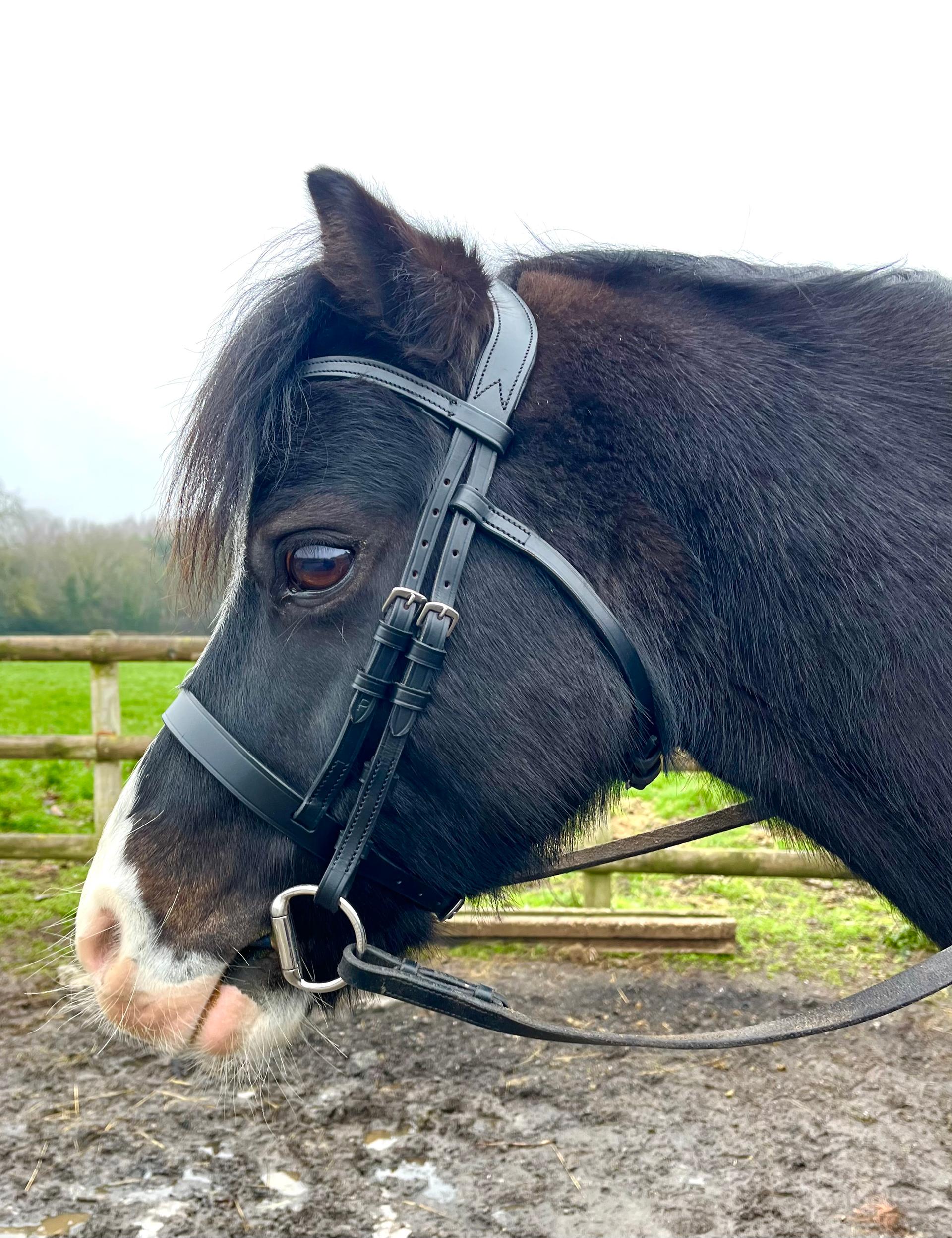Rachel miller Bit & Bridle fitter photo 1