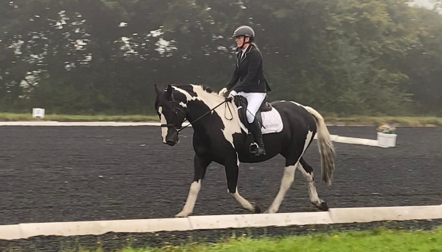 Rachel miller Bit & Bridle fitter photo 2
