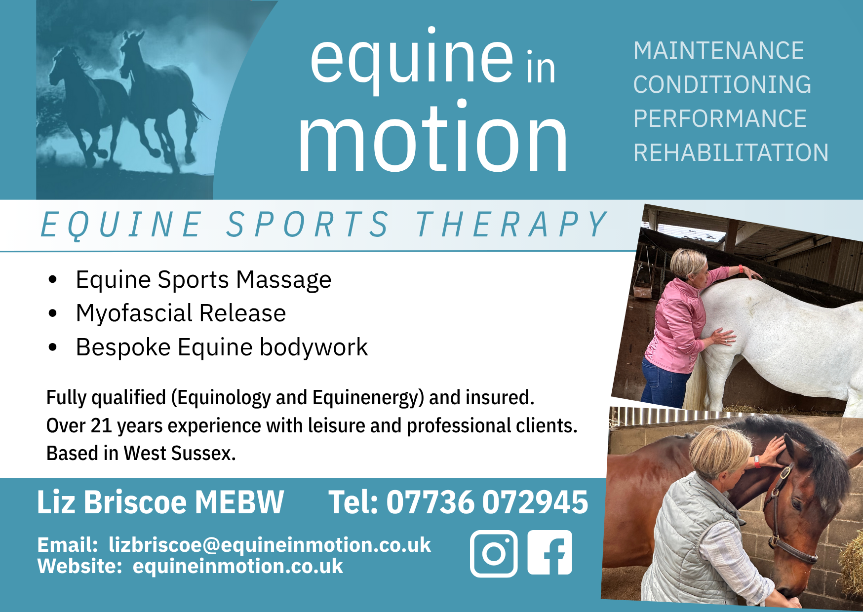 Equine in Motion