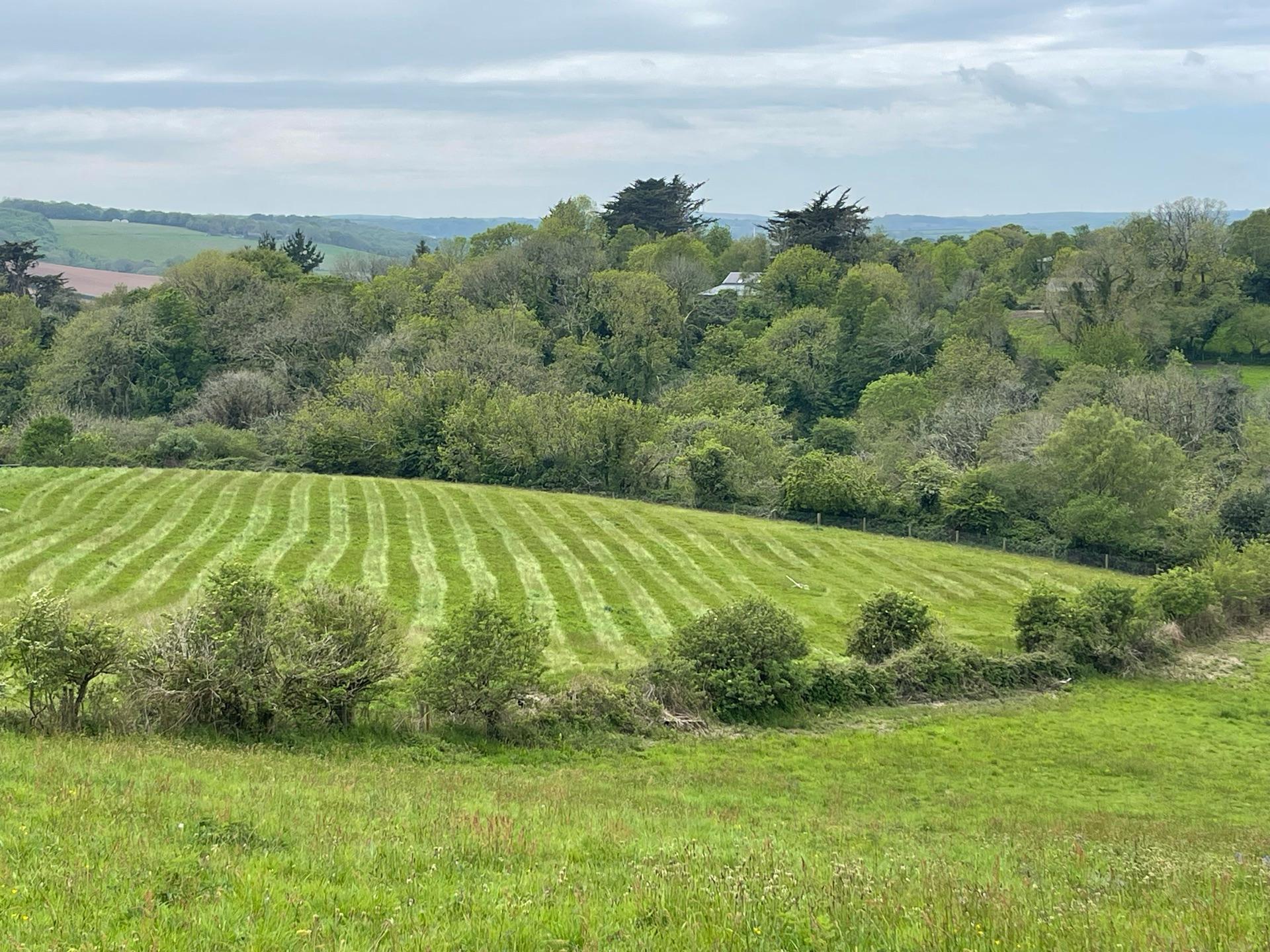J. Prout Grounds & Paddock Maintenance photo 2