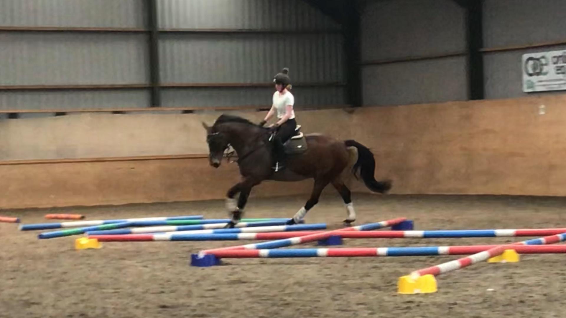 Zoe Morris Accredited coach photo 2
