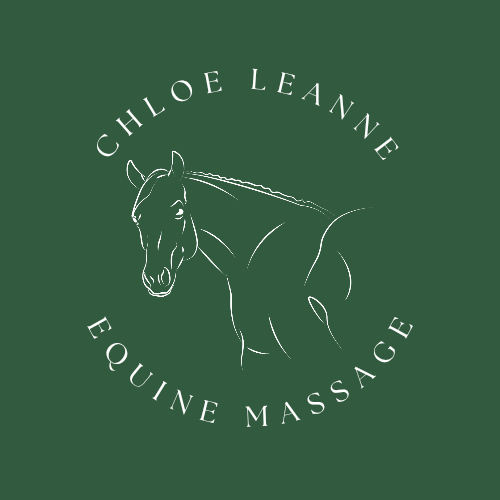 Chloe Leanne Equine Massage photo 2