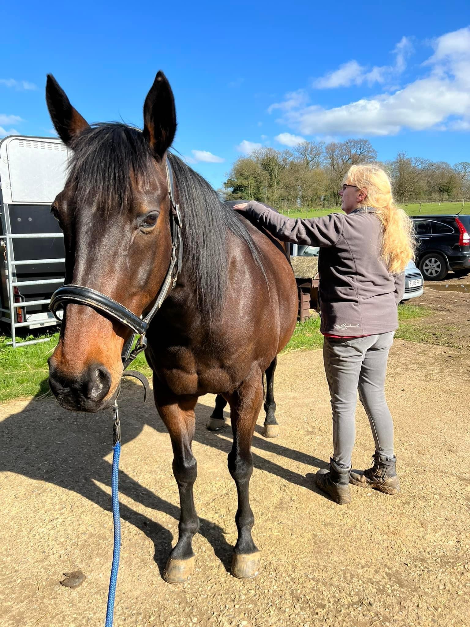 Equine Reset