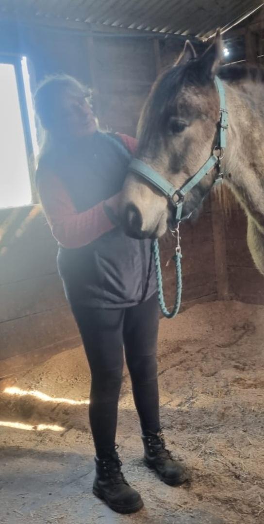 Equine Reset photo 2
