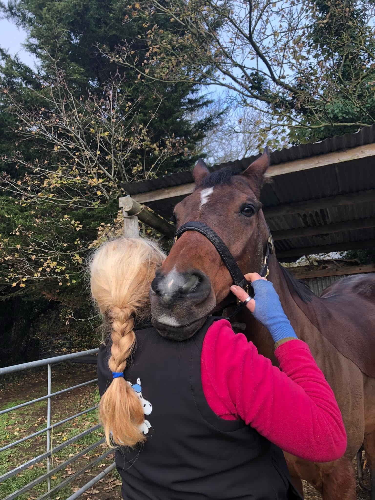 Equine Reset photo 5