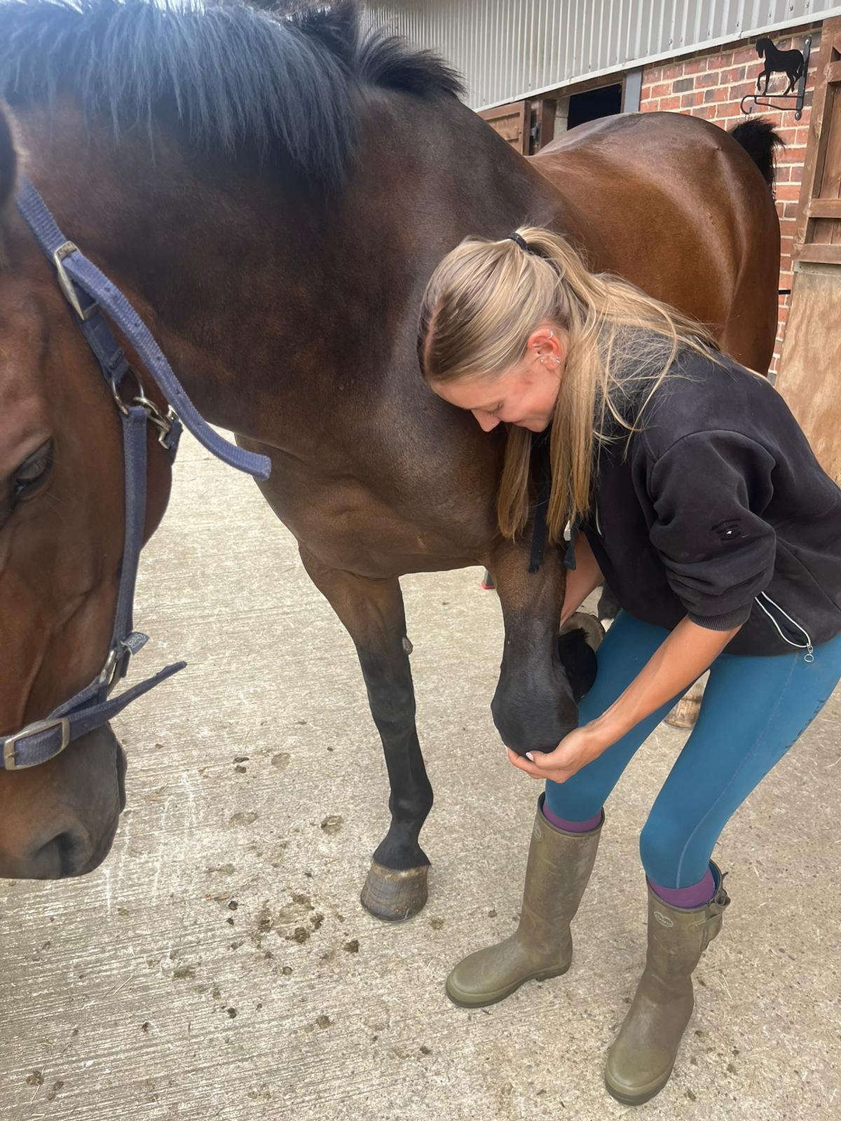 SLC Equine Sports Massage Therapy