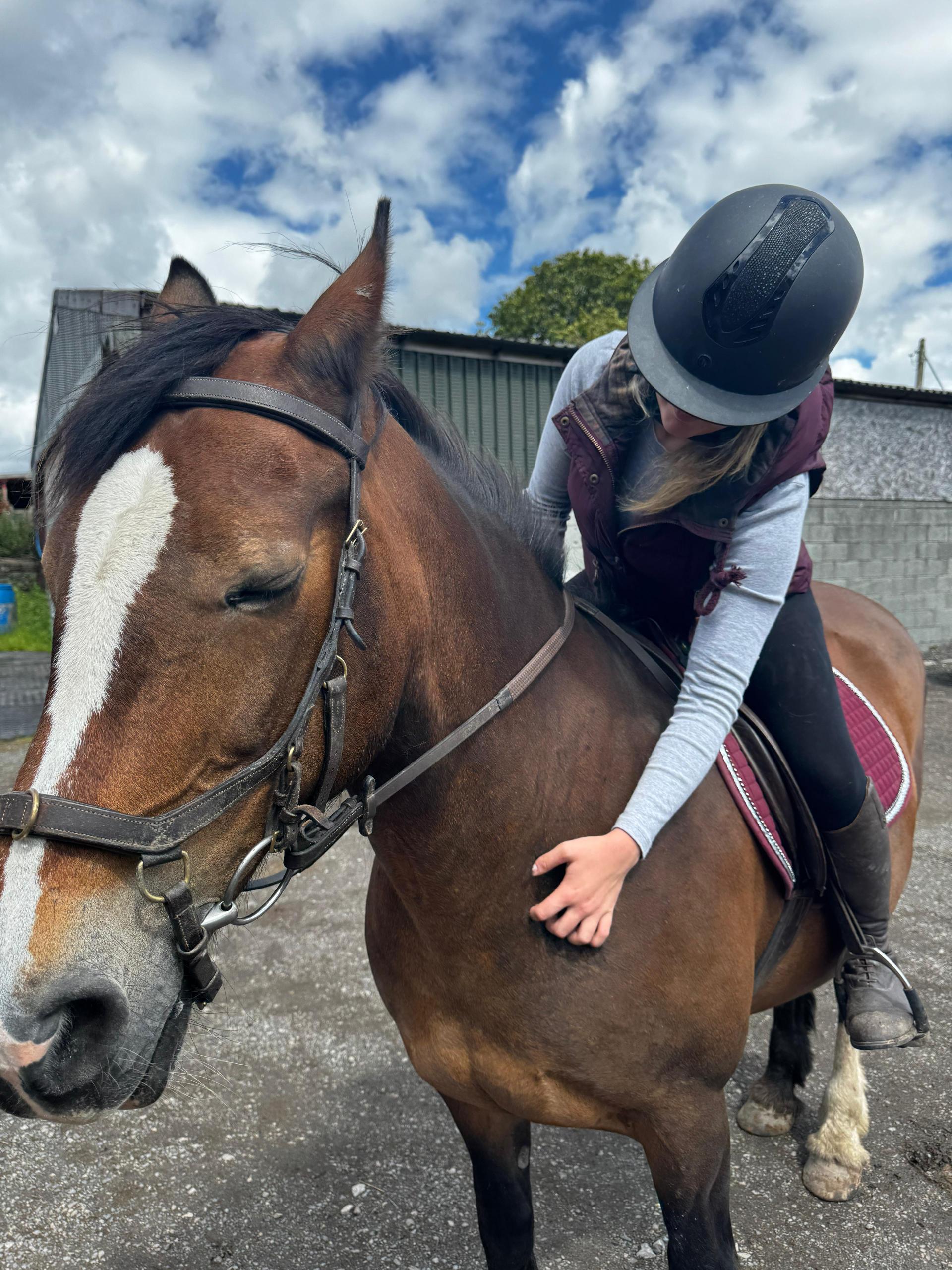 Bramble & Bridle photo 2