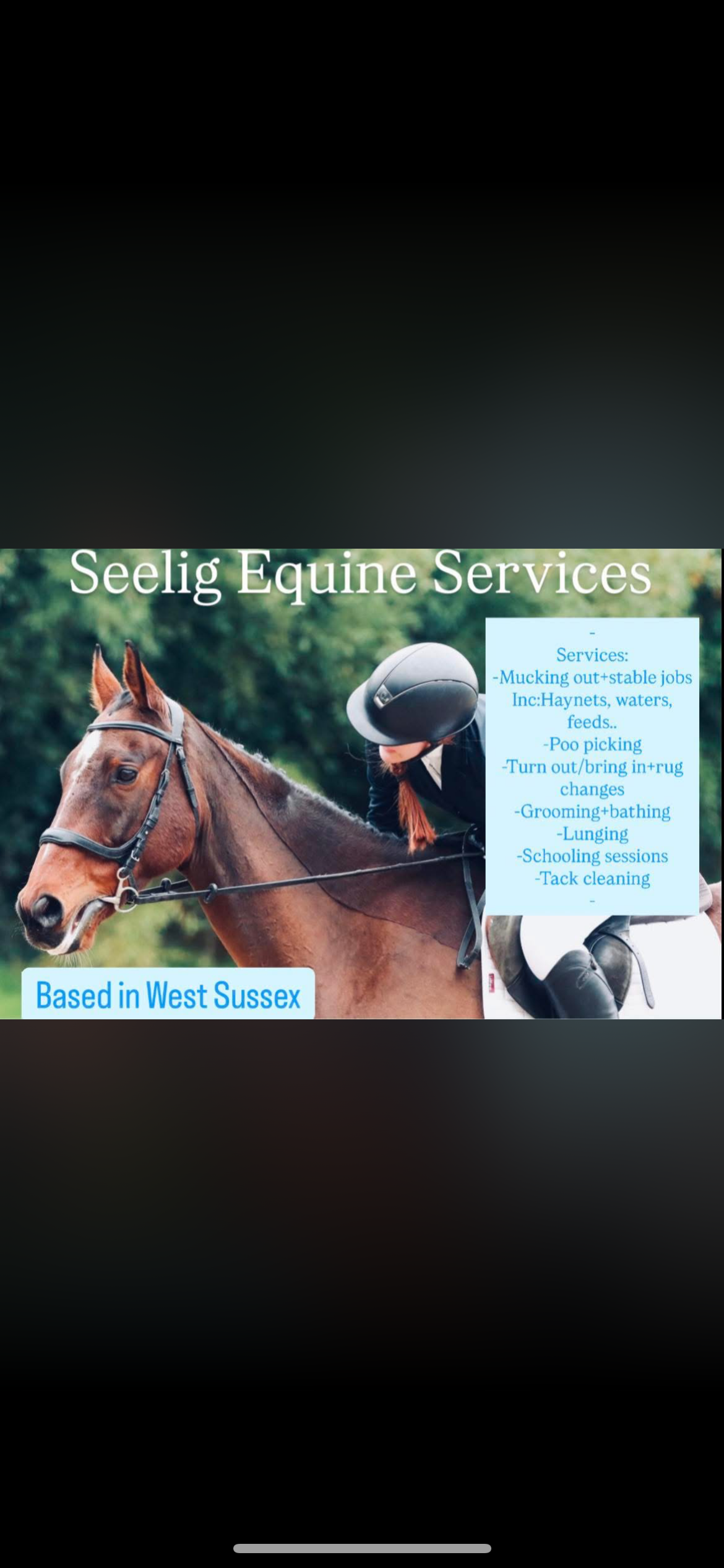 Seelig Equine Services