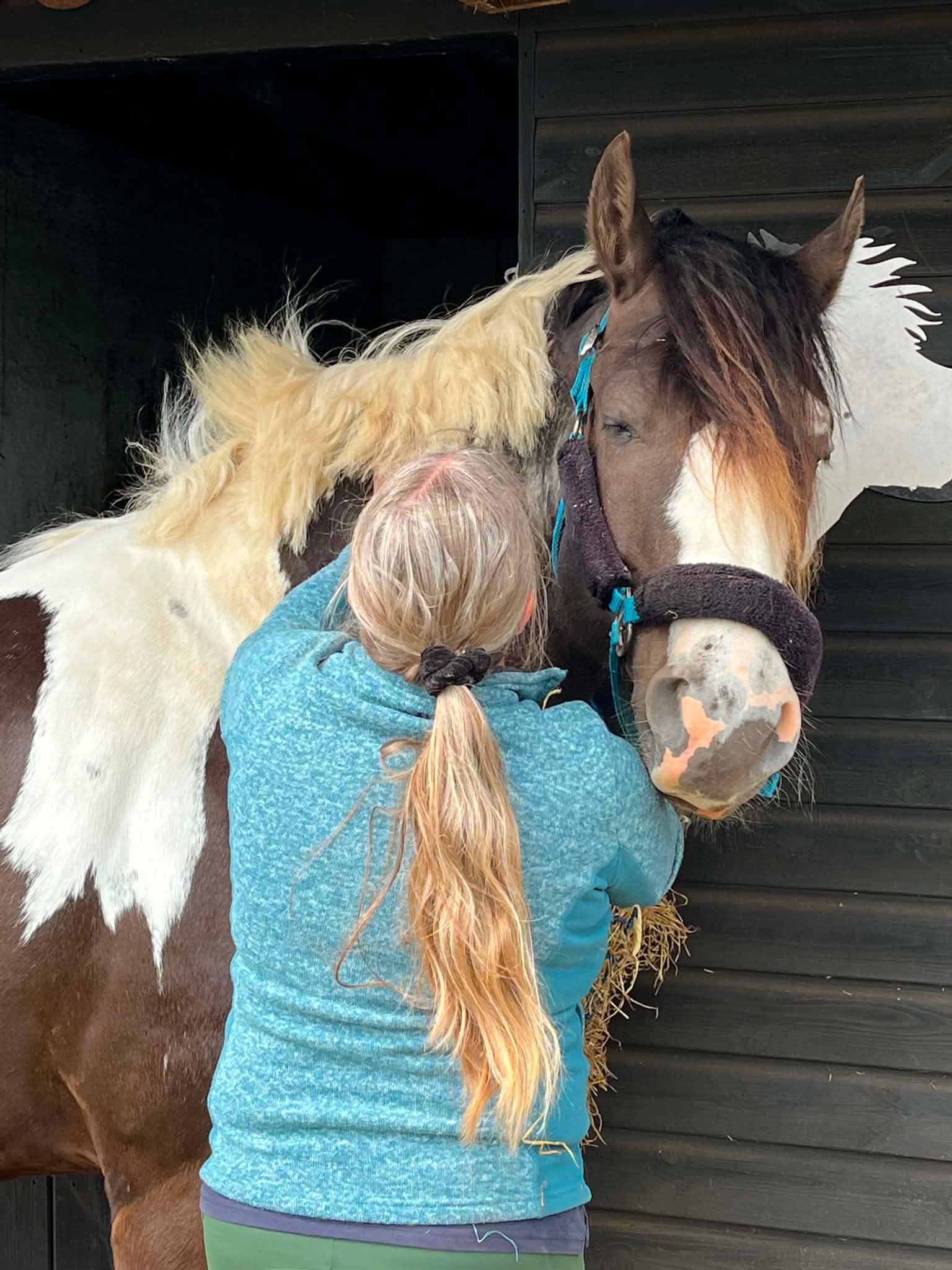 Equine Back To Life photo 3